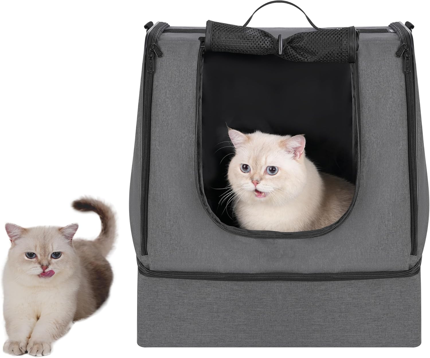 https://m.media-amazon.com/images/I/91k4oexL8KL._AC_SL1500_.jpg