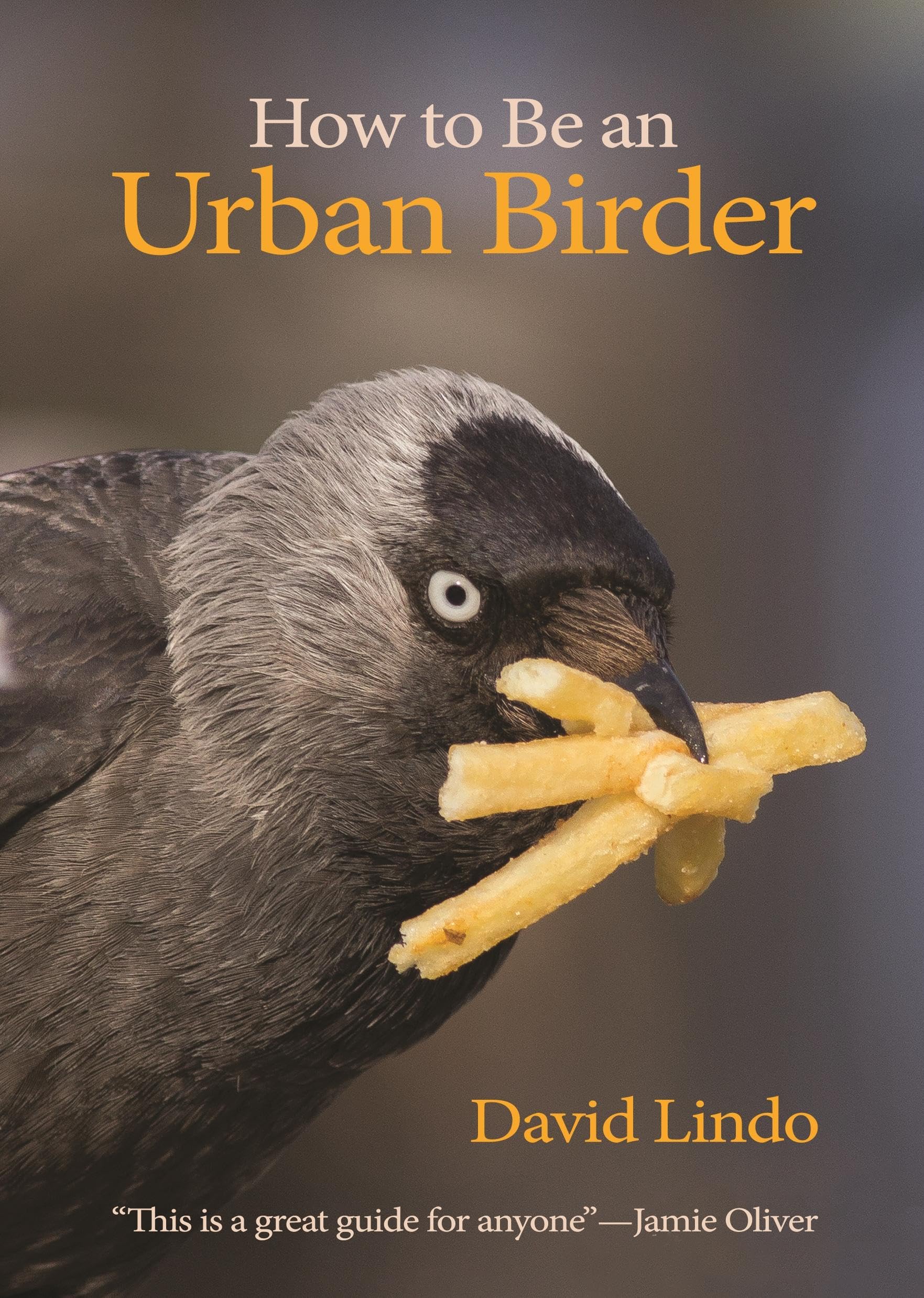 How to Be an Urban Birder: 13 (WILDGuides)