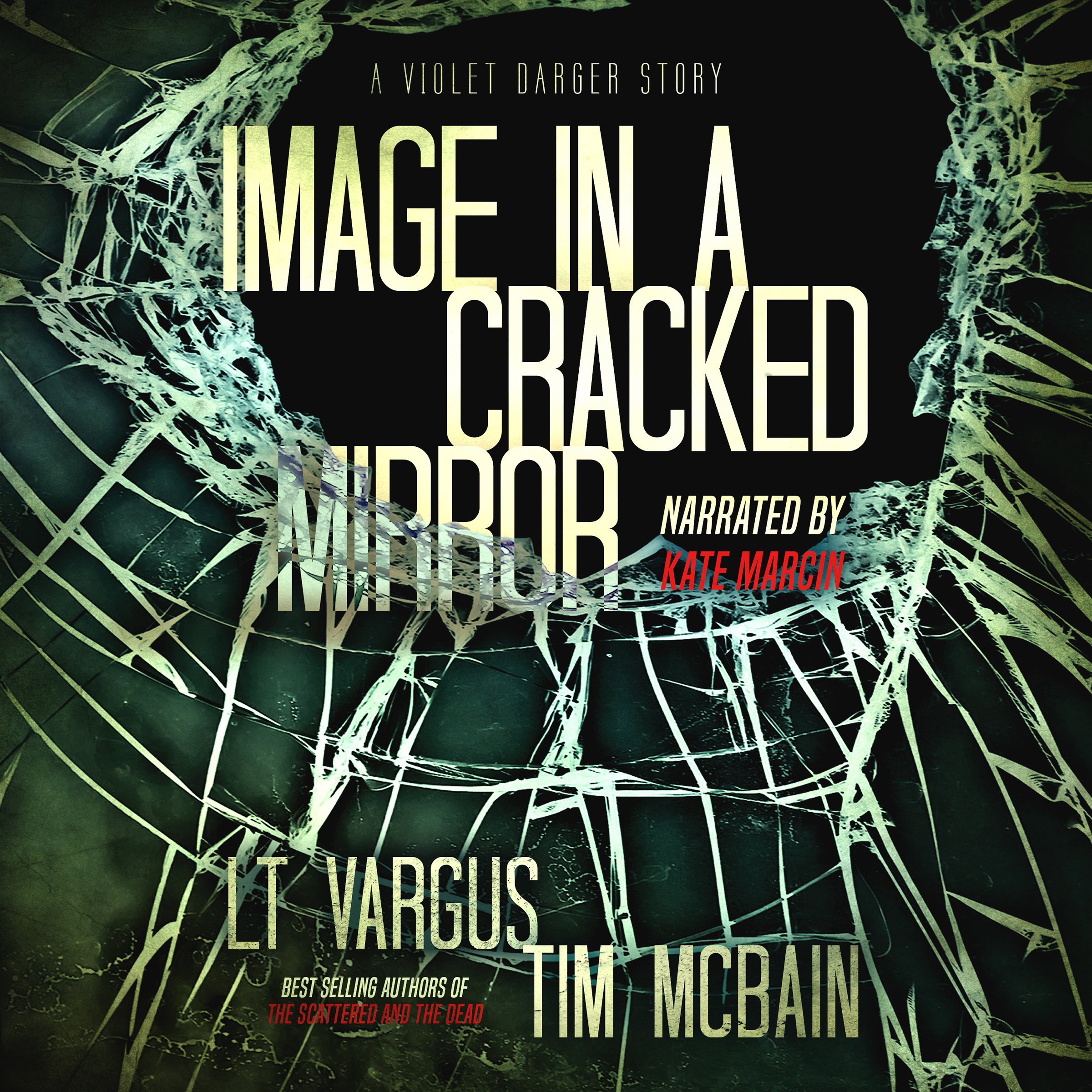 Cover art for Image in a Cracked Mirror