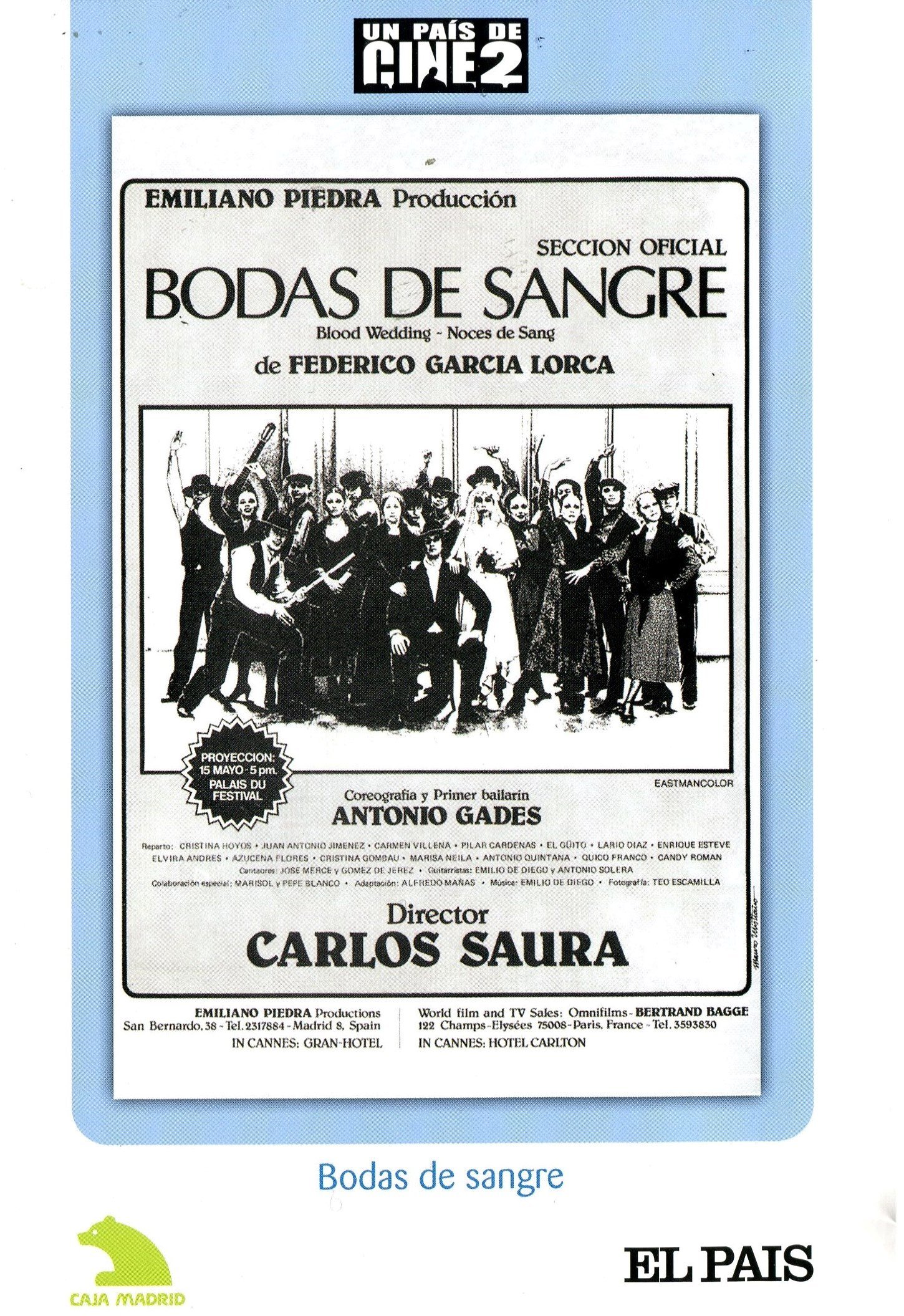Amazon.co.jp: bodas de sangre : DVD