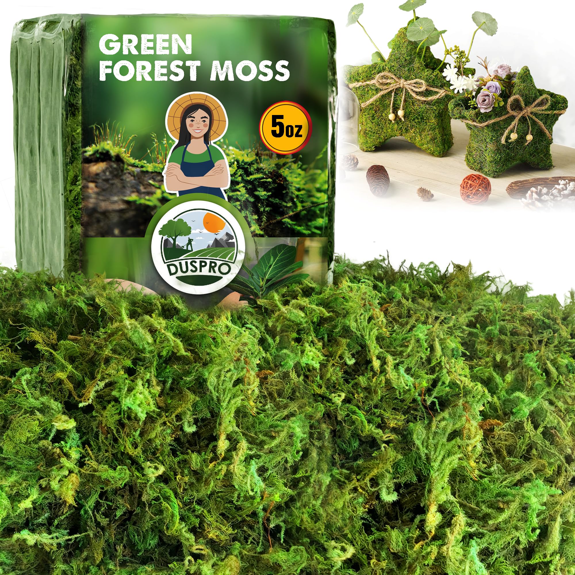 [Upgraded] DUSPRO Green Moss for Crafts, Real Forest Moss Potted Plants, Decorative Mosses for Table Centerpieces Wedding Christmas Fairy Party Decor, Indoor Planters, DIY Project (5 oz)