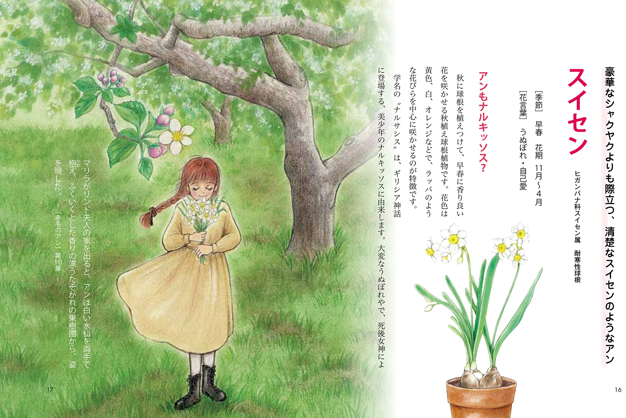 幸せを引き寄せる 赤毛のアンとハーブのある暮らし 竹田久美子 本 通販 Amazon 幸せを引き寄せる 赤毛のアンとハーブのある暮らし 竹田久美子 本 通販 Amazon
