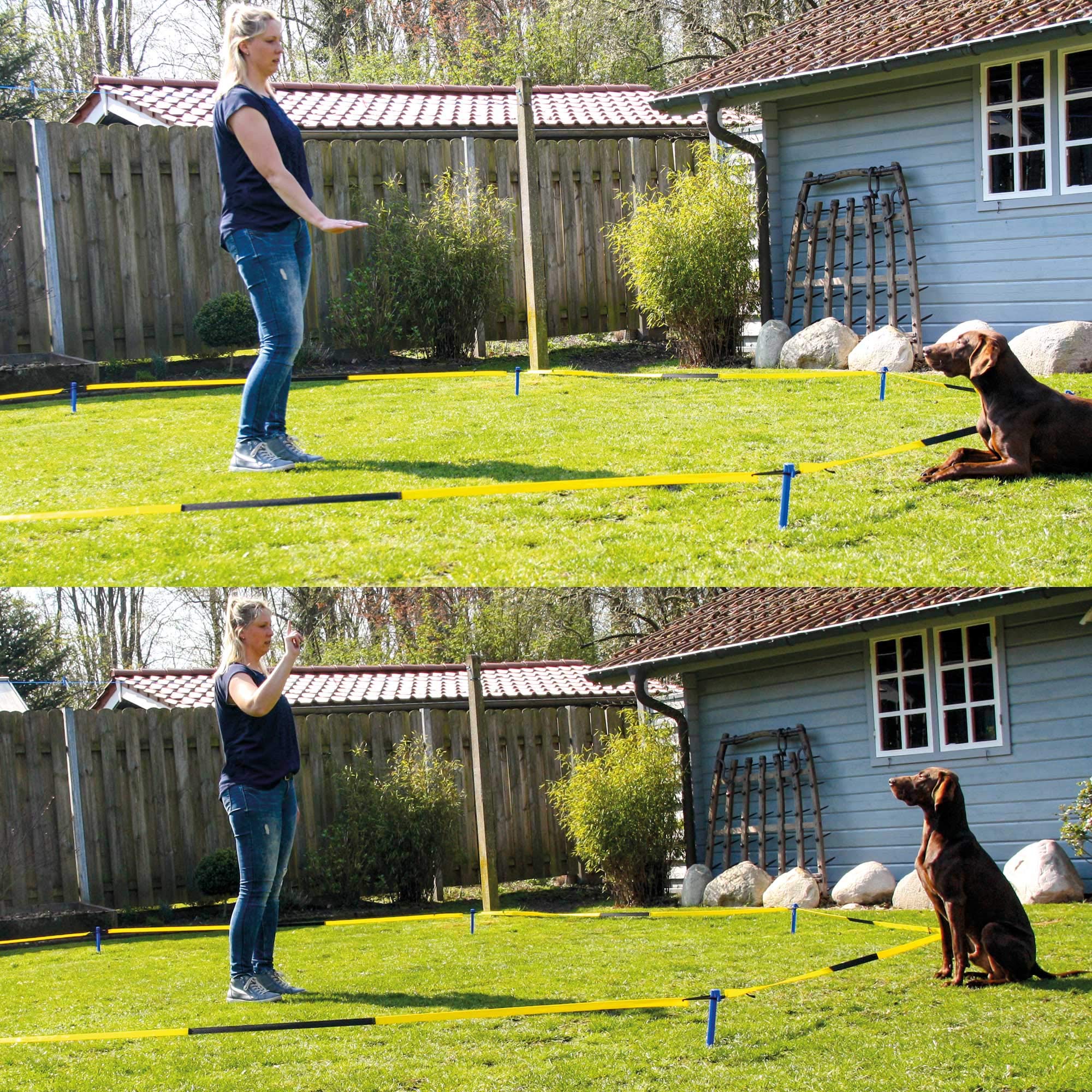 Schecker Longier Set für Hunde mit einem Radius von 3-3,5 m stärkt Konzentration Aufmerksamkeit longieren Hund
