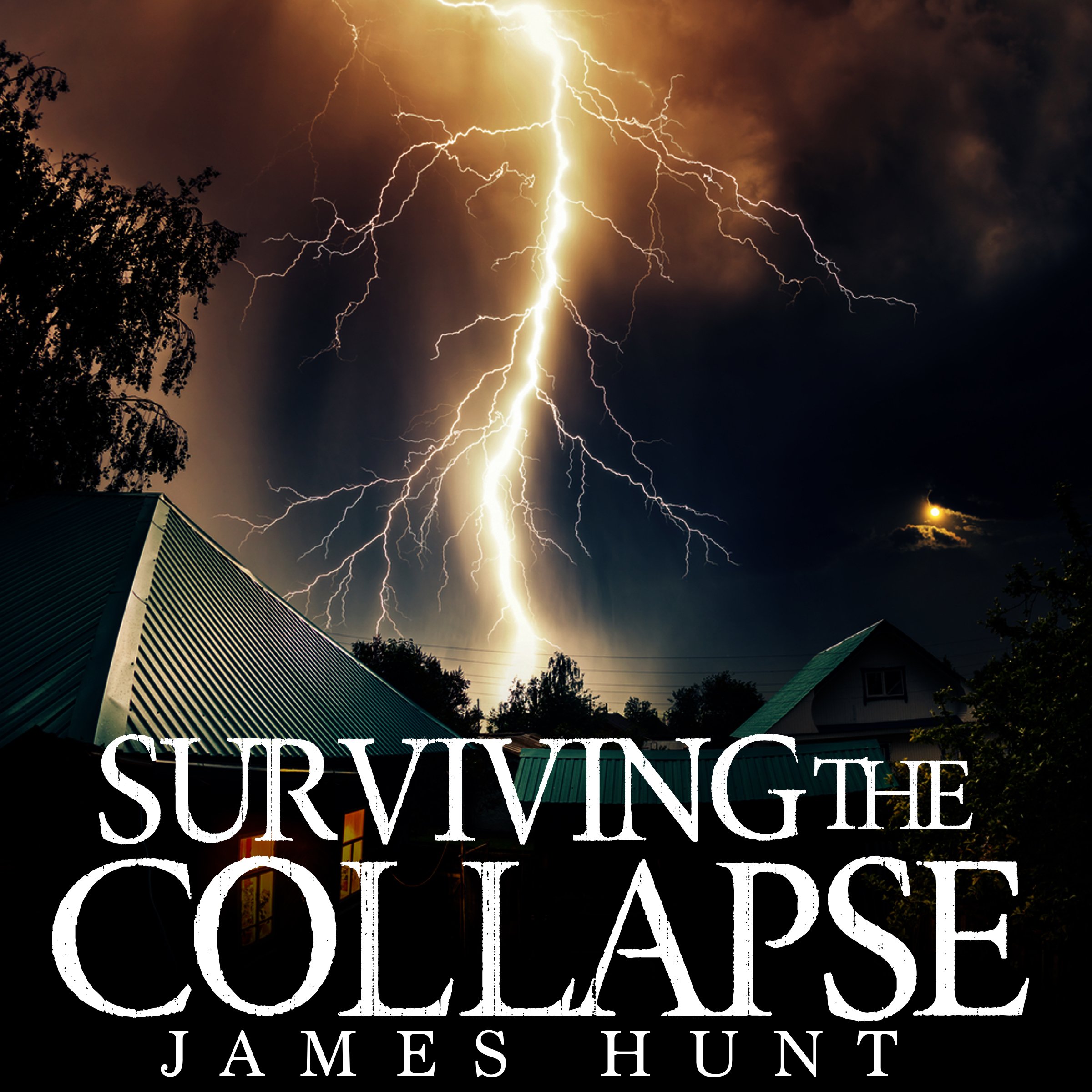 Cover art for Surviving the Collapse: Book 2