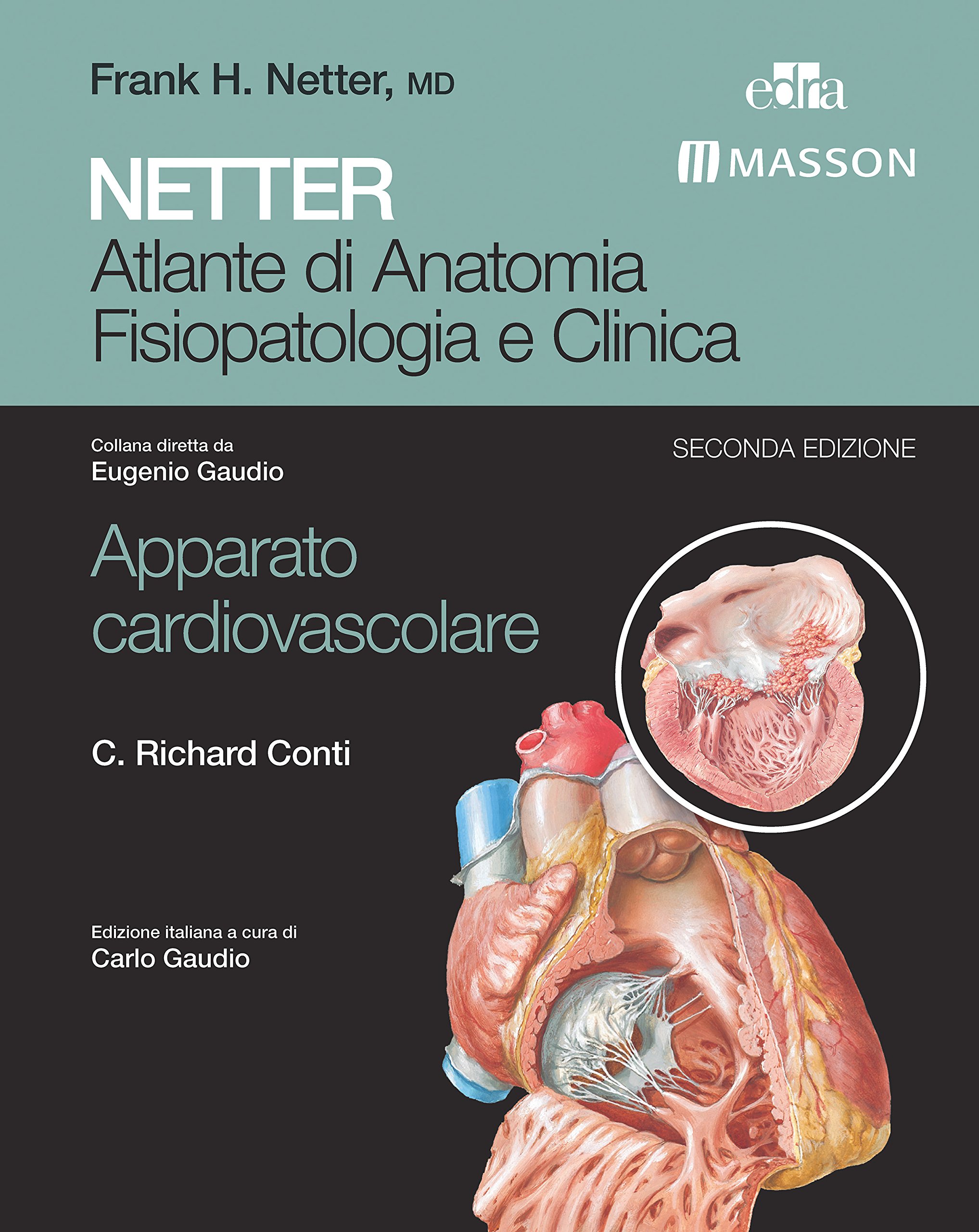NETTER Atlante di anatomia fisiopatologia e clinica: Apparato Cardiovascolare (NETTER Atlante di Anatomia Fisiopatologica e Clinica) (Italian Edition)