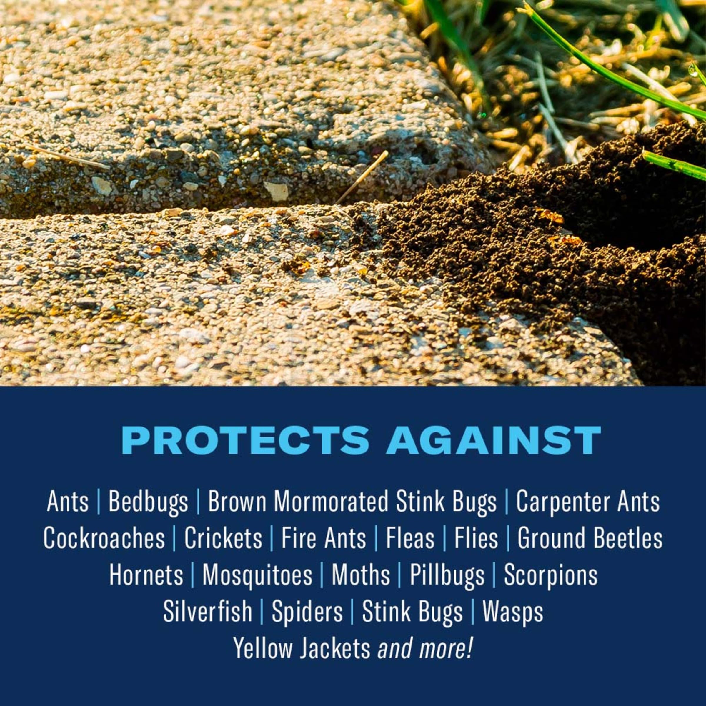 BioAdvanced Complete Insect Killer with Germ Killer, Ready-to-Use, 1 Gal