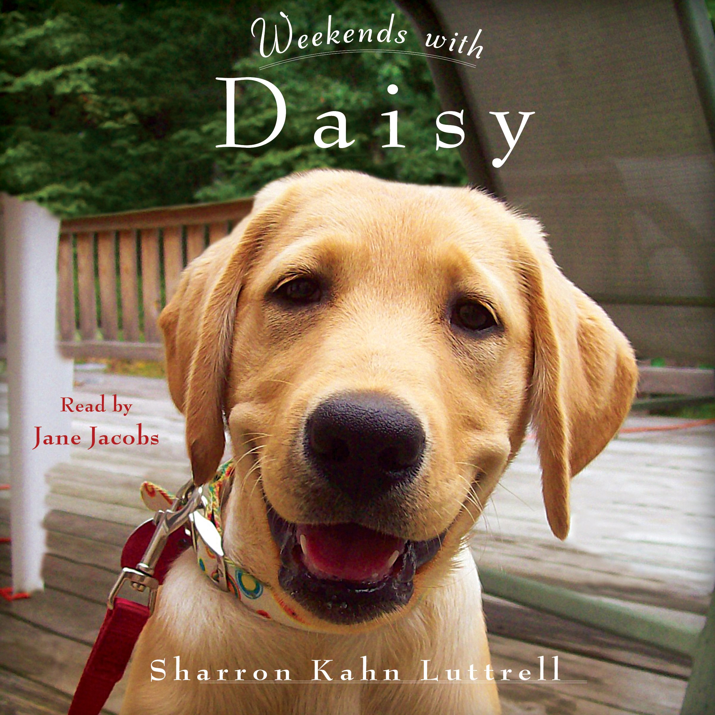 Cover art for Weekends with Daisy