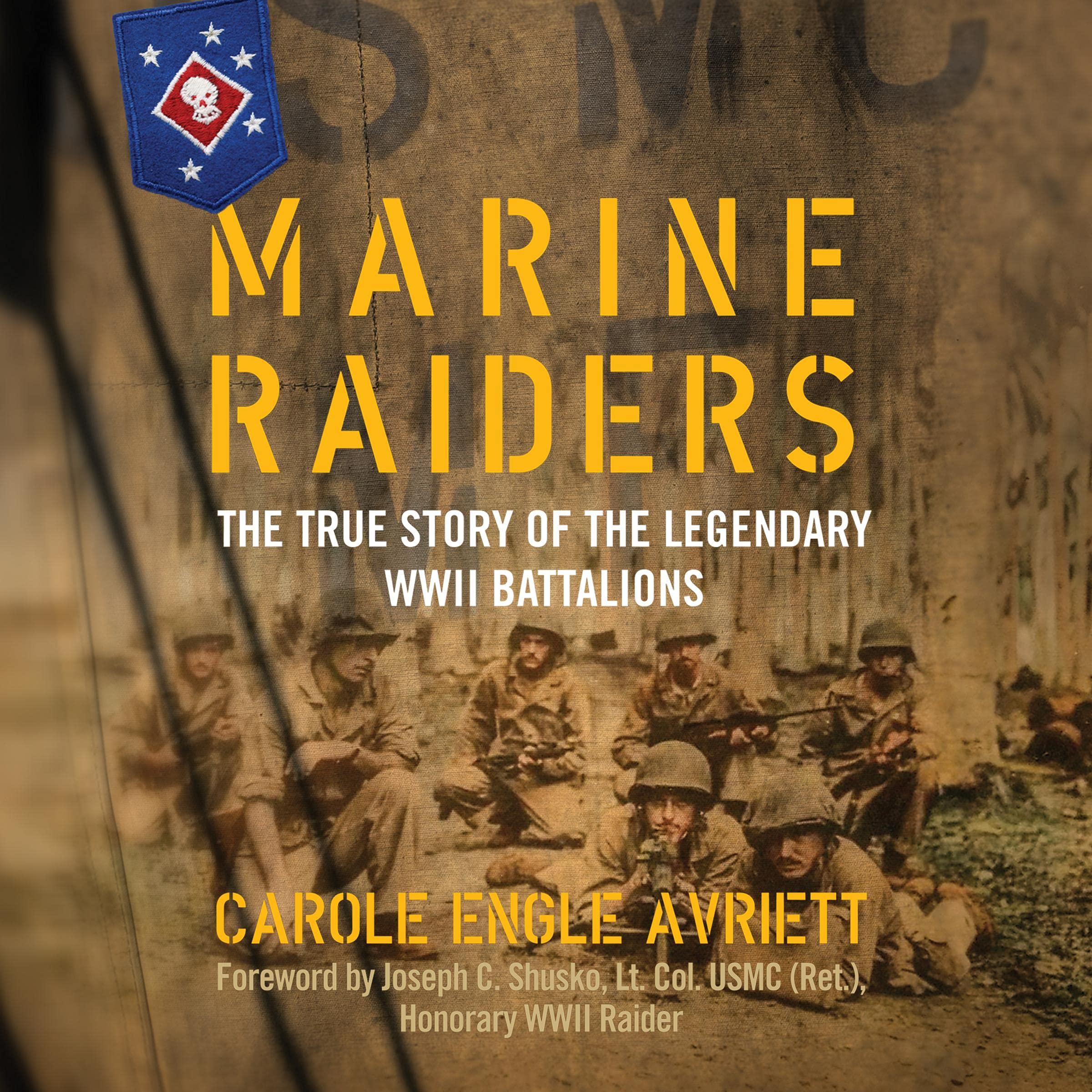 Cover art for Marine Raiders