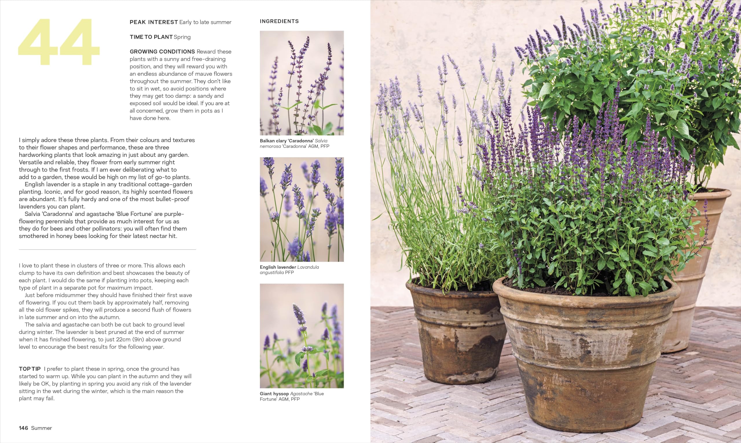 What Grows Together: THE INSTANT SUNDAY TIMES BESTSELLER