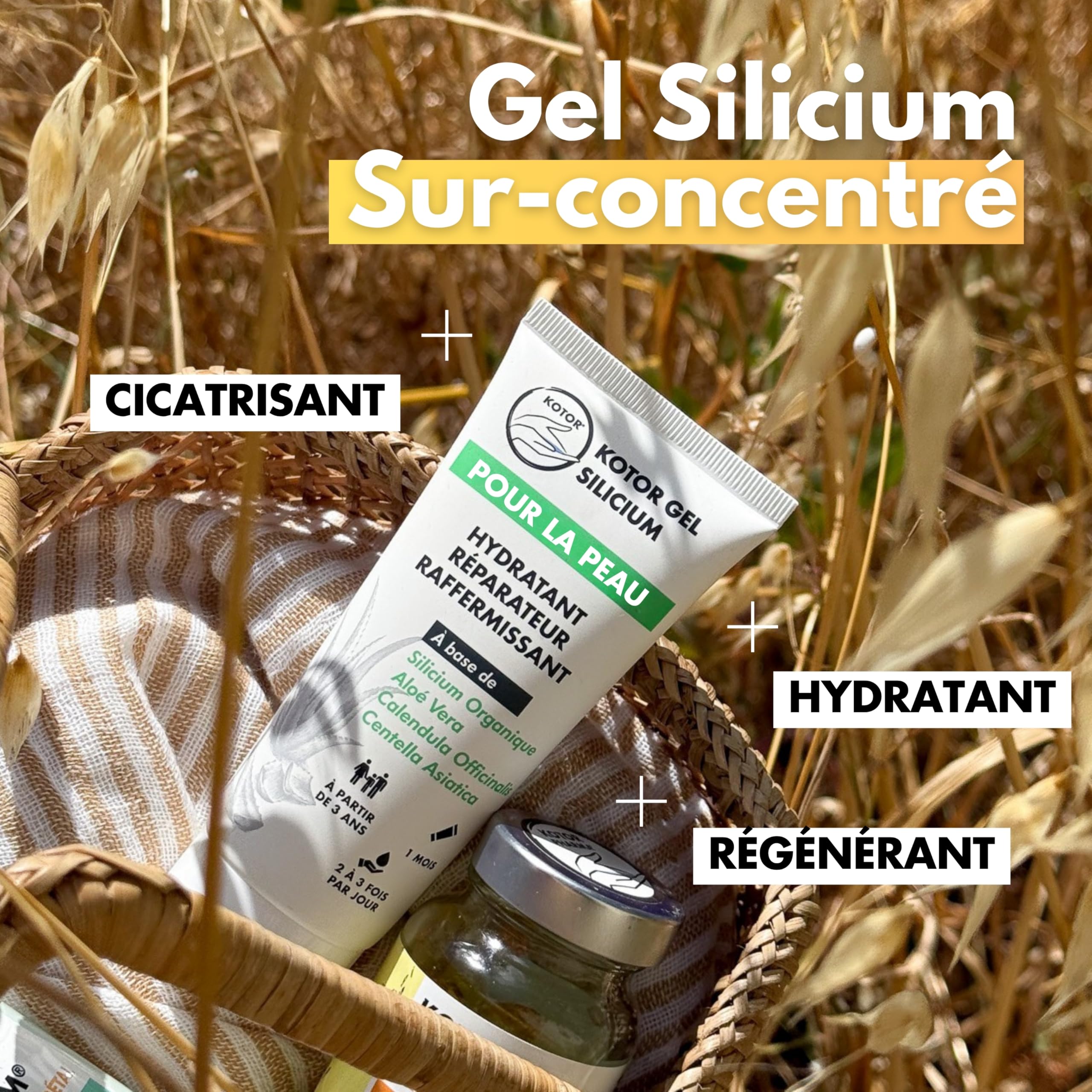 KOTOR GEL SILICIUM | Gel Surconcentré en Silicium Organique | Articulations, Cicatrisation, Rides, Peau + Aloe Vera + Calendula Officinalis + Centella Asiatica | 100ML | France
