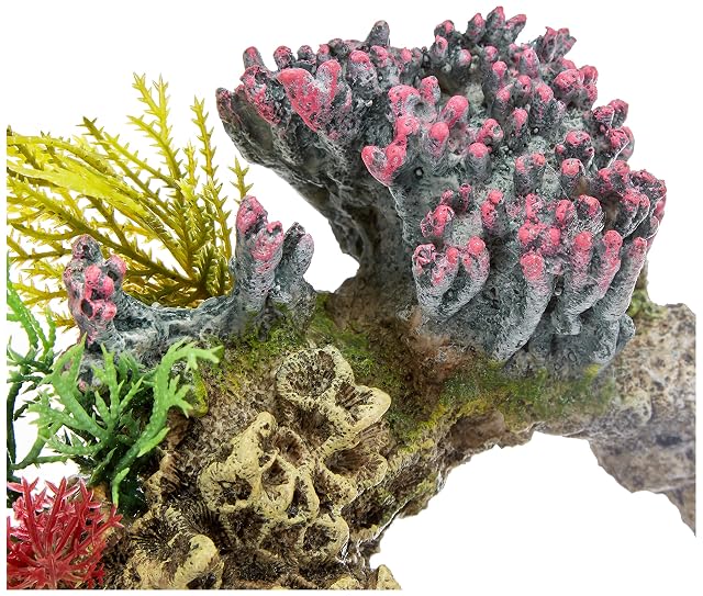 Foto 4 de 5 de Nobby Piedra de Coral con Plantas, Adornos para Acuario, 15,5 x 9 x 10,5 cm