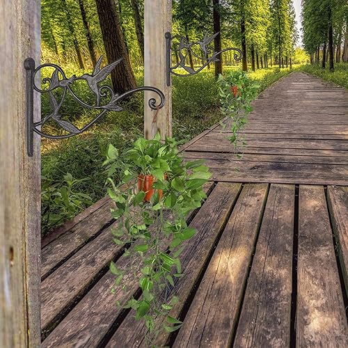 Miniatura 7 de 2 ganchos para plantas al aire libre para pared o valla, soporte para plantas colgantes de colibríes, colgador de plantas de hierro fundido