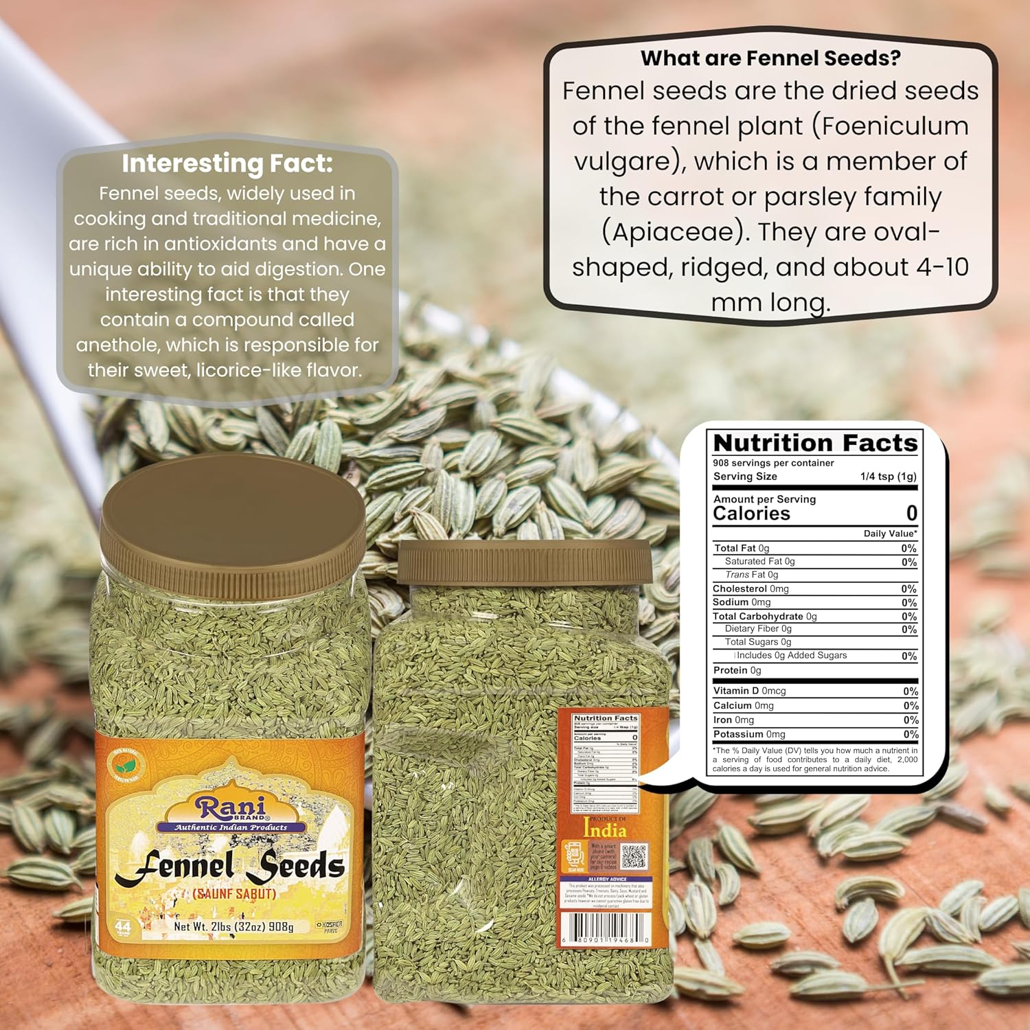 Rani Fennel Seeds (Saunf Sabut) Whole Spice 32oz (2lbs) 908g PET Jar ~ All Natural | Gluten Friendly | NON-GMO | Kosher | Vegan | Indian Origin
