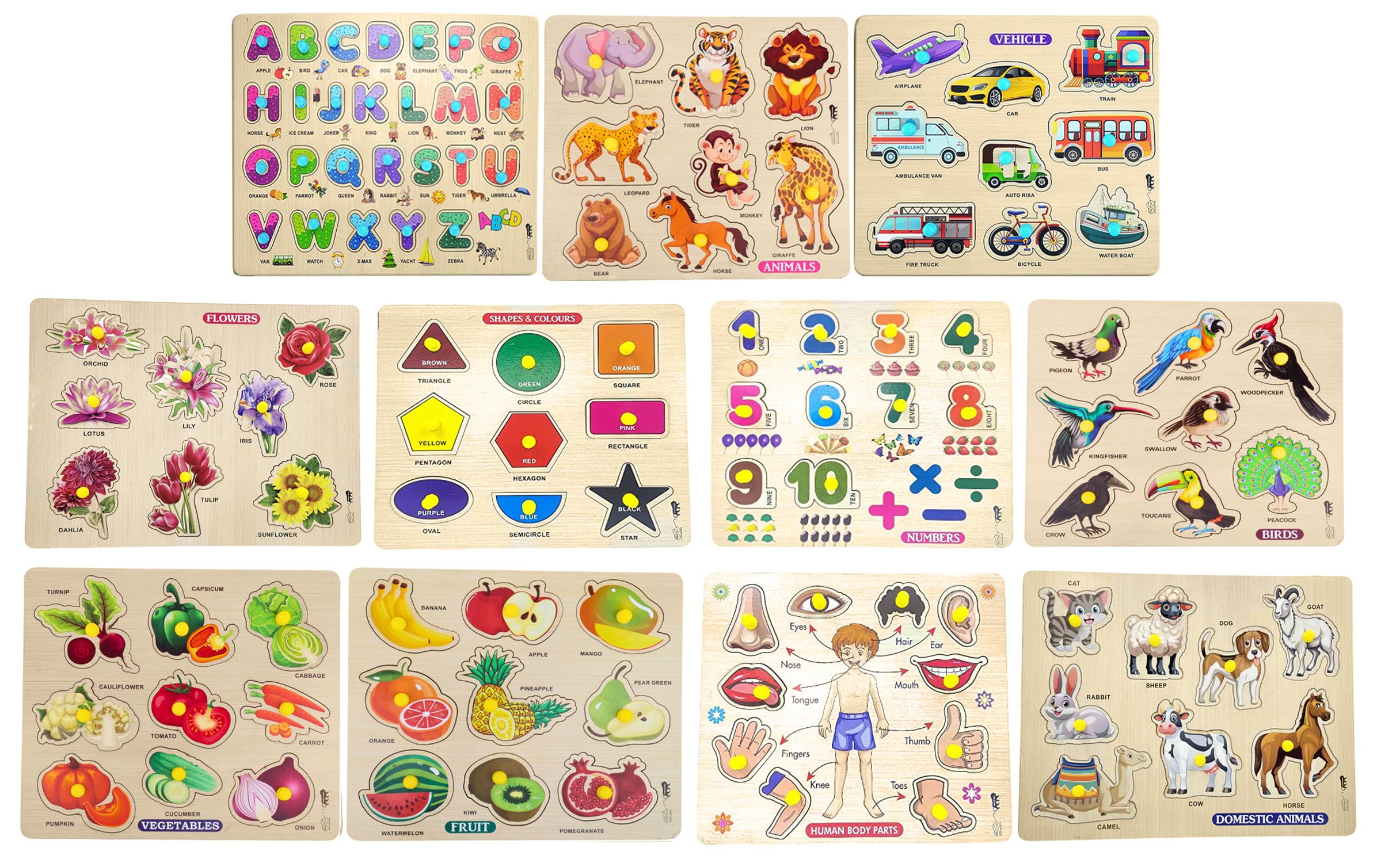 APPSTER Jumbo Wooden Puzzle Toy for Kids 11-in-1 Colorful Learning Set | Animals, Birds, Flowers, Pet, Fruits, Vegetables, ABCD, Numbers, Shapes, Body Parts & Vehicles | Educational Jigsaw Board Game-image-26