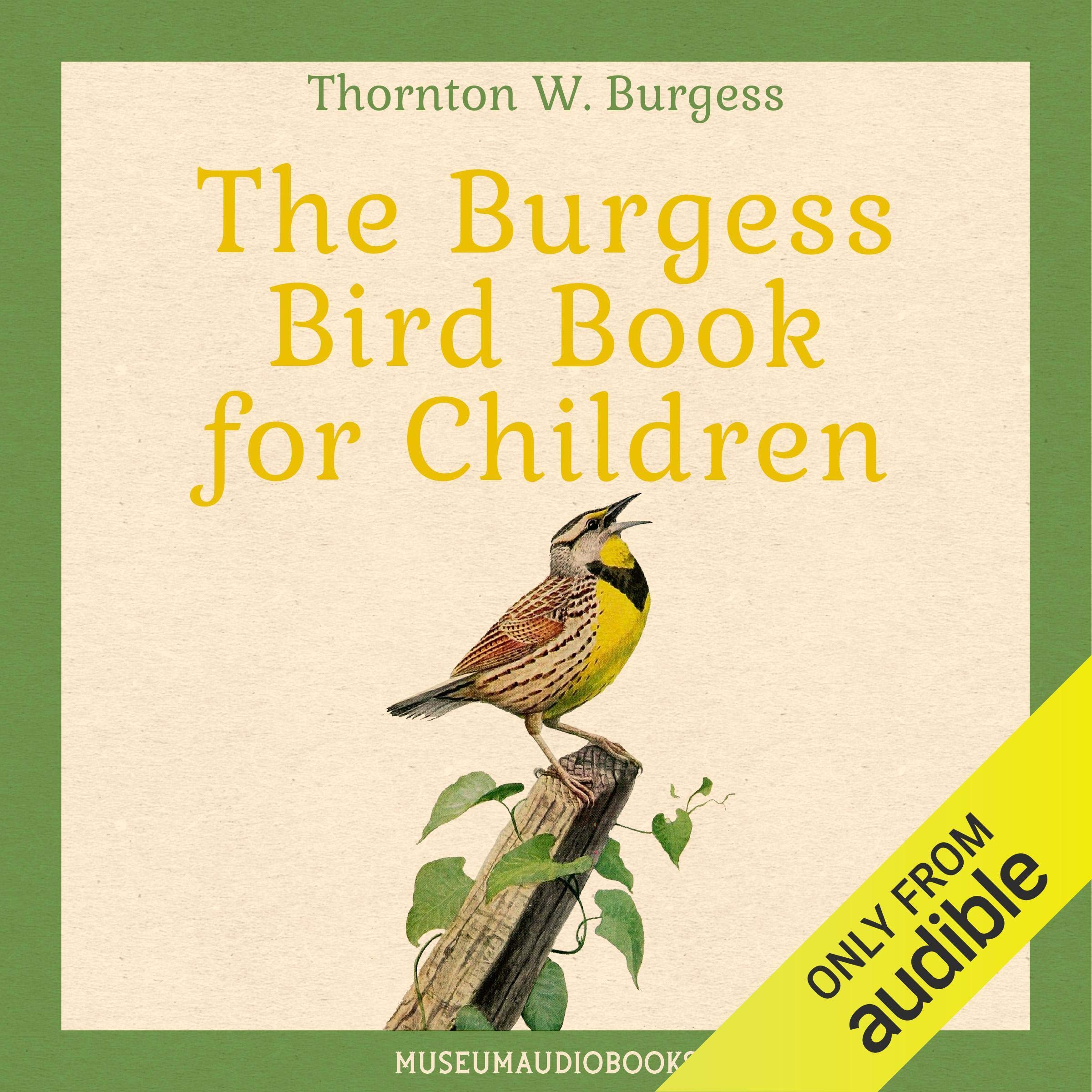 Cover art for The Burgess Bird Book for Children