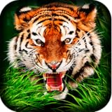 Realistic tiger simulator Indian Tiger Simulator 3D