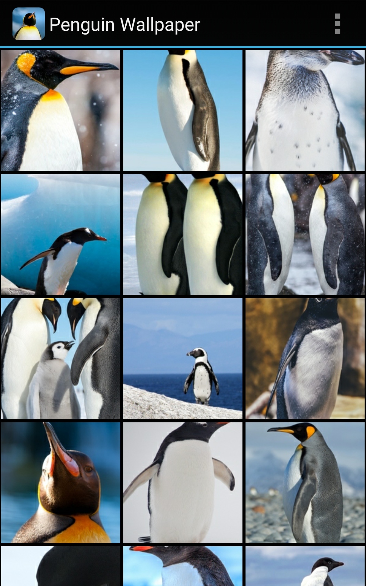 Penguin Wallpaper - App on Amazon Appstore