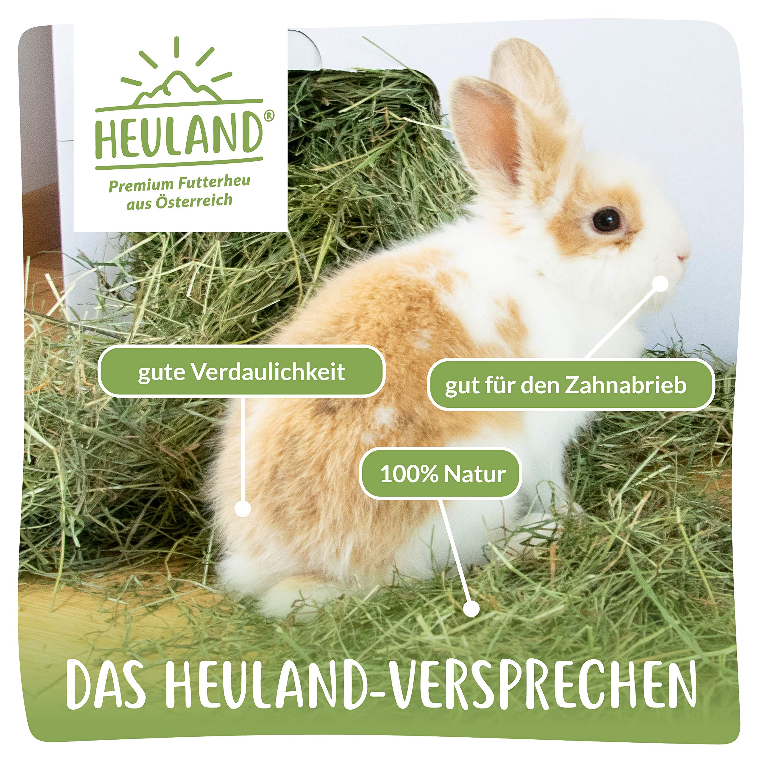 Premium Heu Bleib ma G´sund mit Kamille und Ringelblume (4X 500g) Frisches Bergwiesenheu für Kleintiere Kaninchen Hamster Streu Meerschweinchen Futter Nager Zwergkaninchen Hasen 2 Kilo