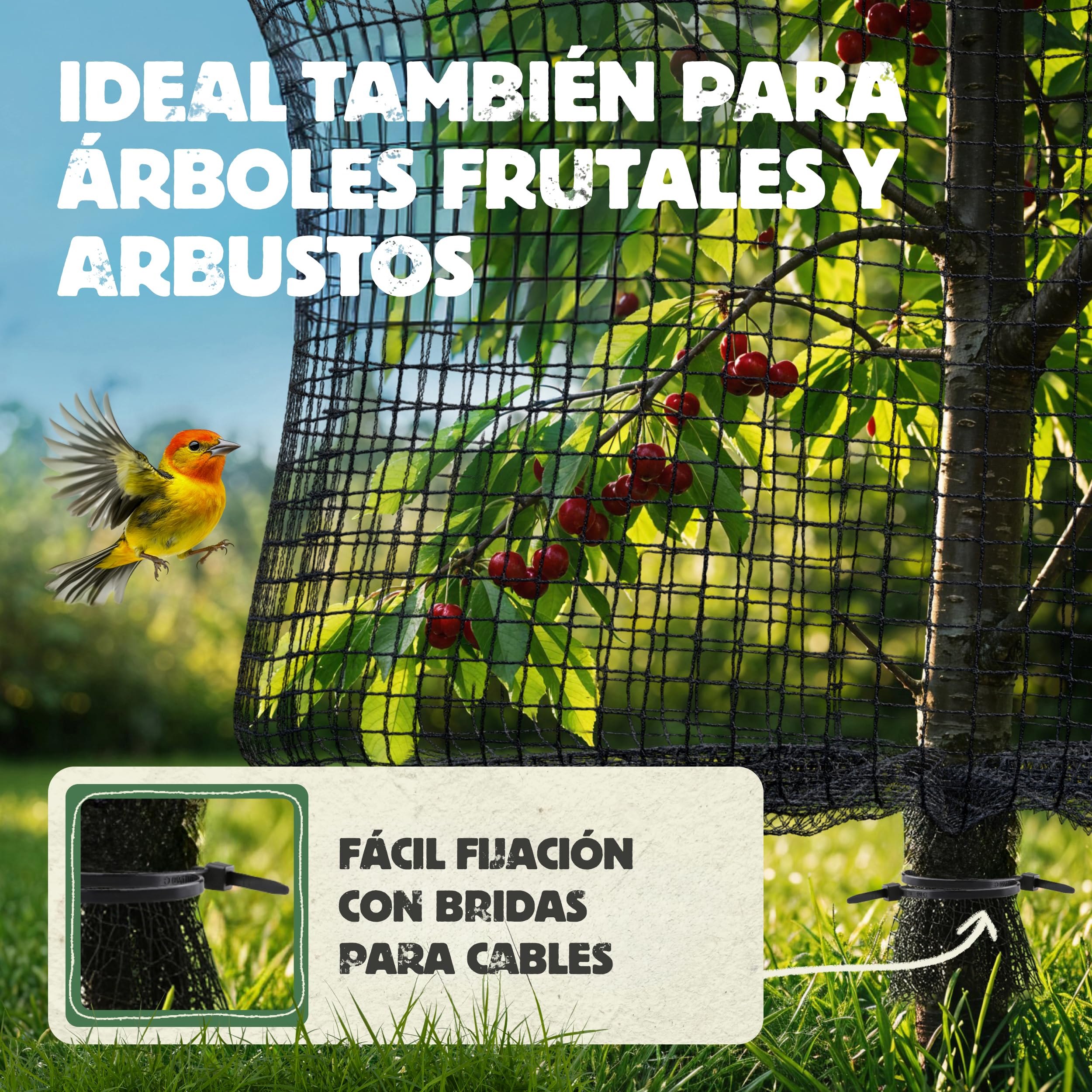 LAINFELD Red para estanques de Malla Fina, 2 x 5 m, Resistente a la Intemperie y a los Rayos UV, Red para pájaros, Pollos, balcón, contra Palomas y garzas