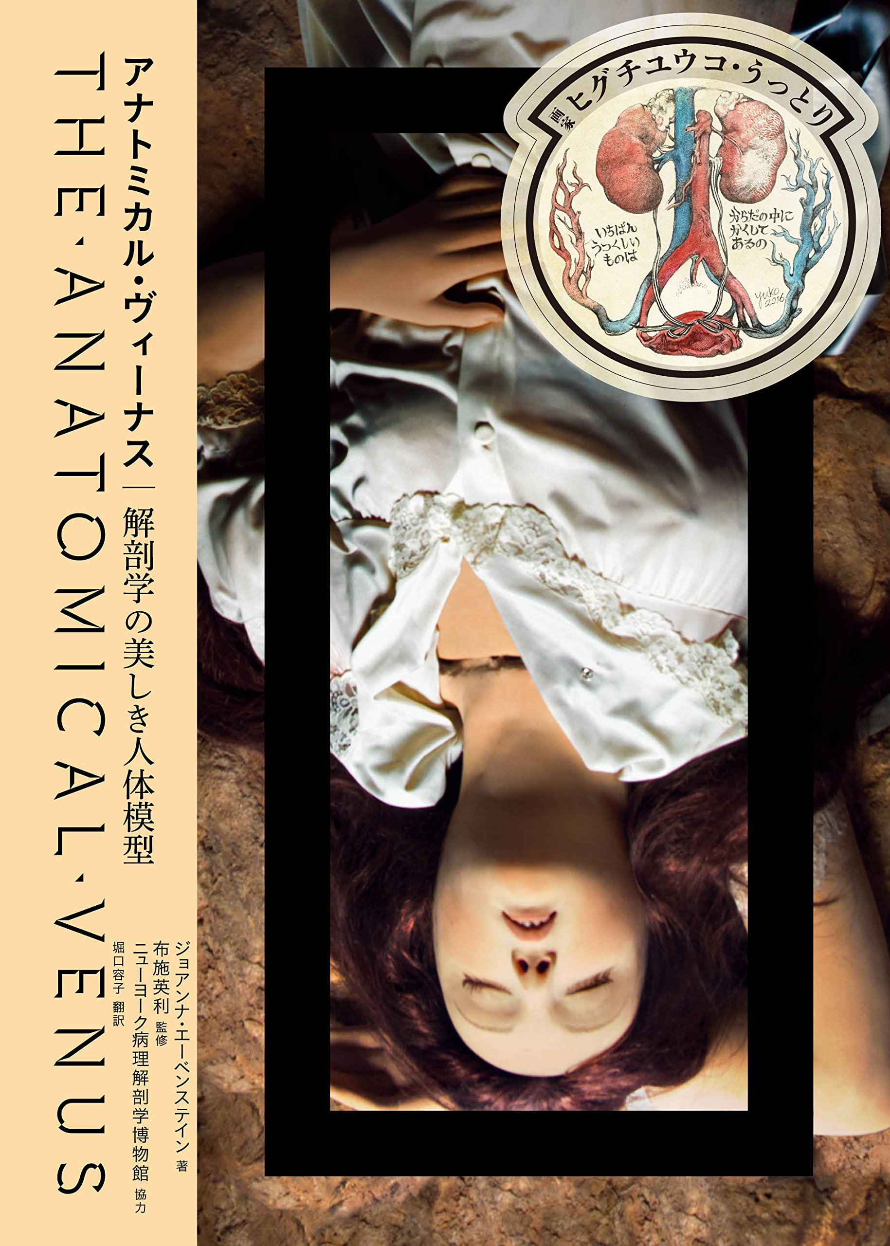 アナトミカル ヴィーナス 解剖学の美しき人体模型 ジョアンナ エーベンステイン 布施 英利 堀口 容子 本 通販 Amazon