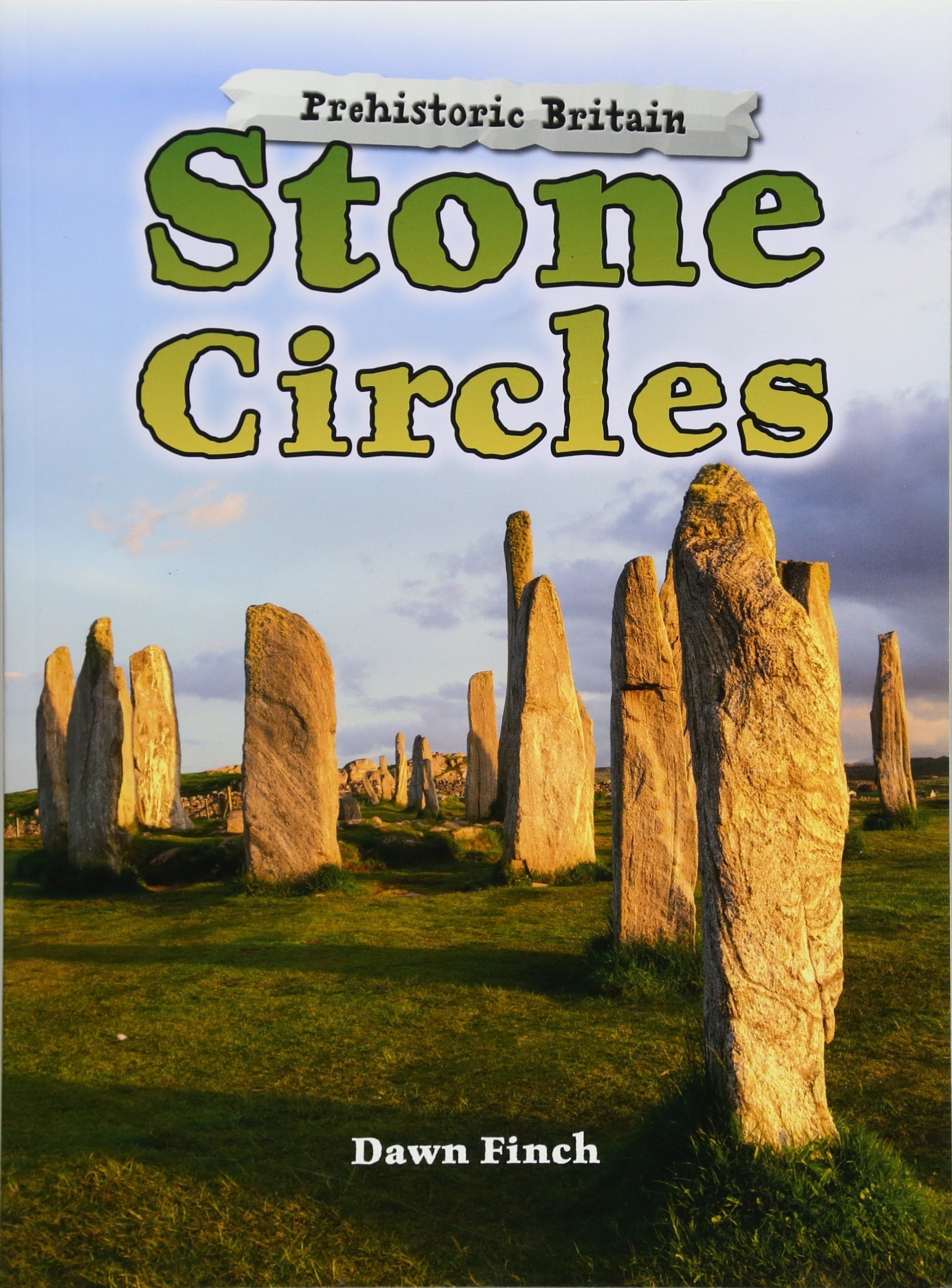 Stone Circles.by Dawn  New 9781474730471 Fast Free Shipping**