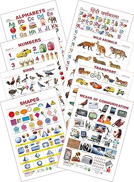 Spectrum Educational Mini Wall Chart (Set of 8) : Set 10 ( English Alphabets , Hindi Varnamala , Numbers 1 to 10 , Wild Animals , Birds , Transport , Shapes & Means of Communications )