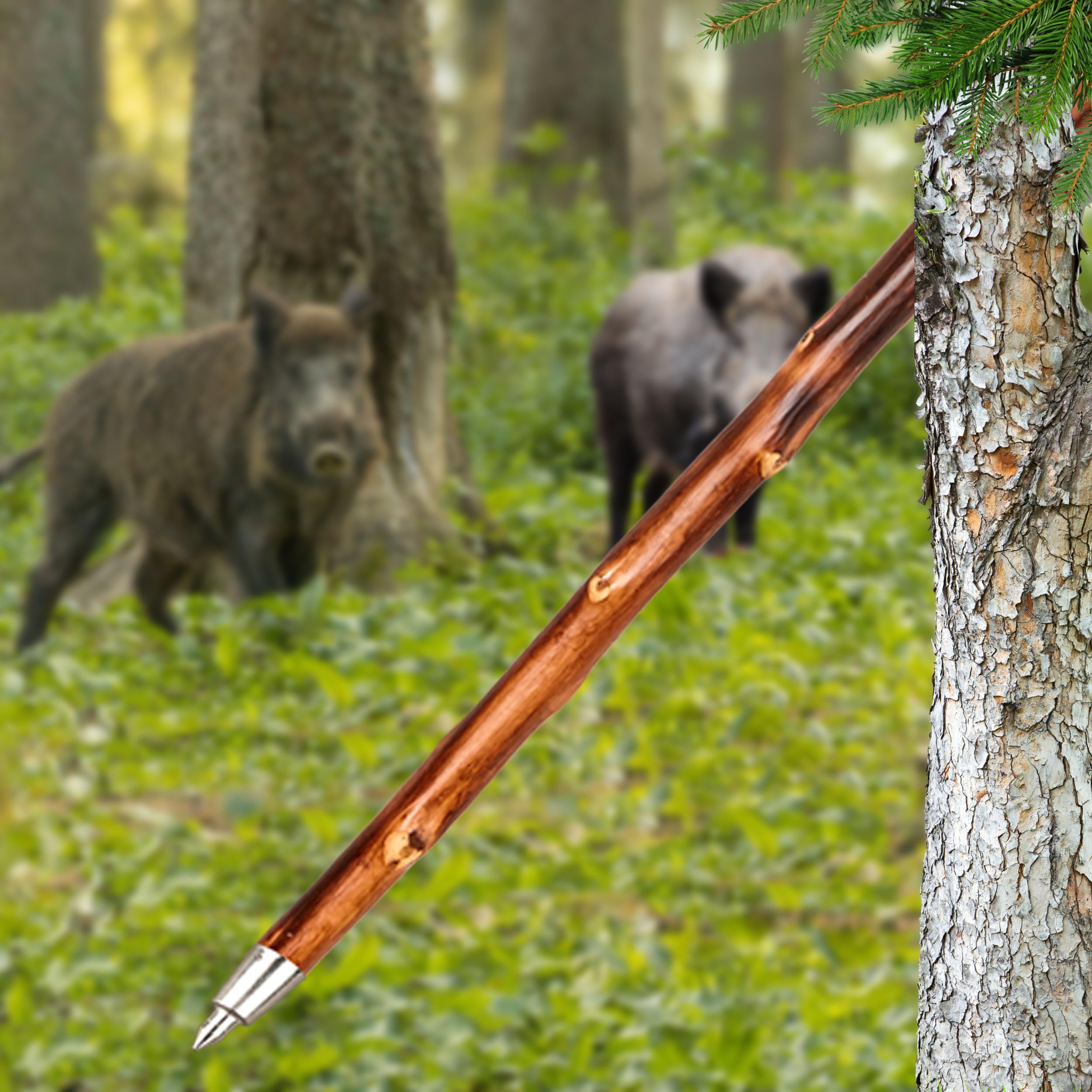 Jagd-Schnitzerei Peter® Wanderstock Holz mit Keilerkopf 98-180 cm | Handgeschnitzt, Farbe siehe Abbildung, Gravur bis zu 15 Zeichen im Preis enthalten