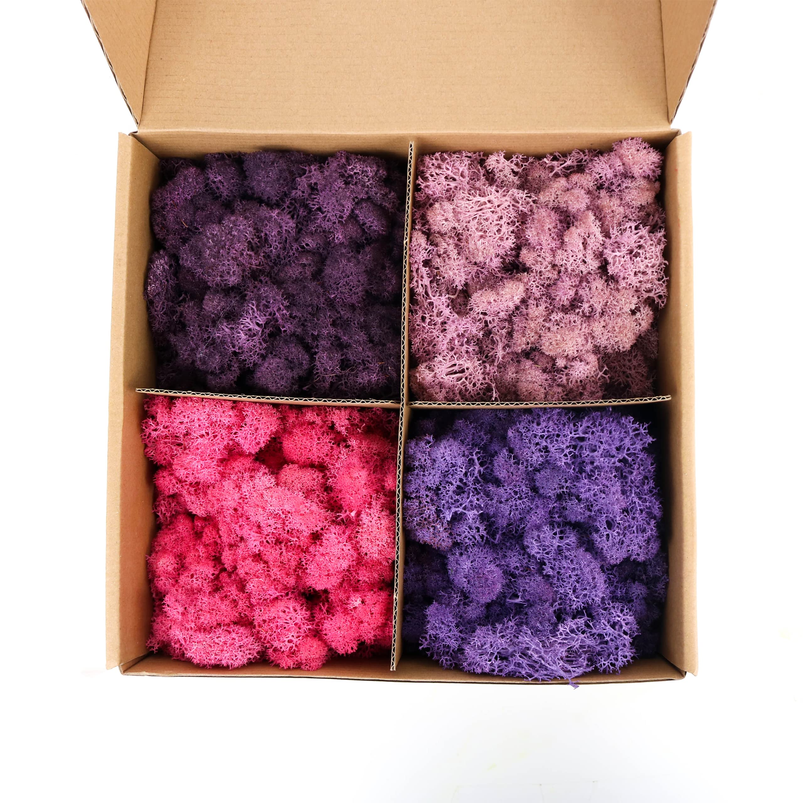 Amoueterno Preserved 4 Color Reindeer Moss,Total 14OZ Each Color 3.5OZ, Natural Real Moss, DIY Kit Crafts Art Wall Decor Florist Decor,Purple