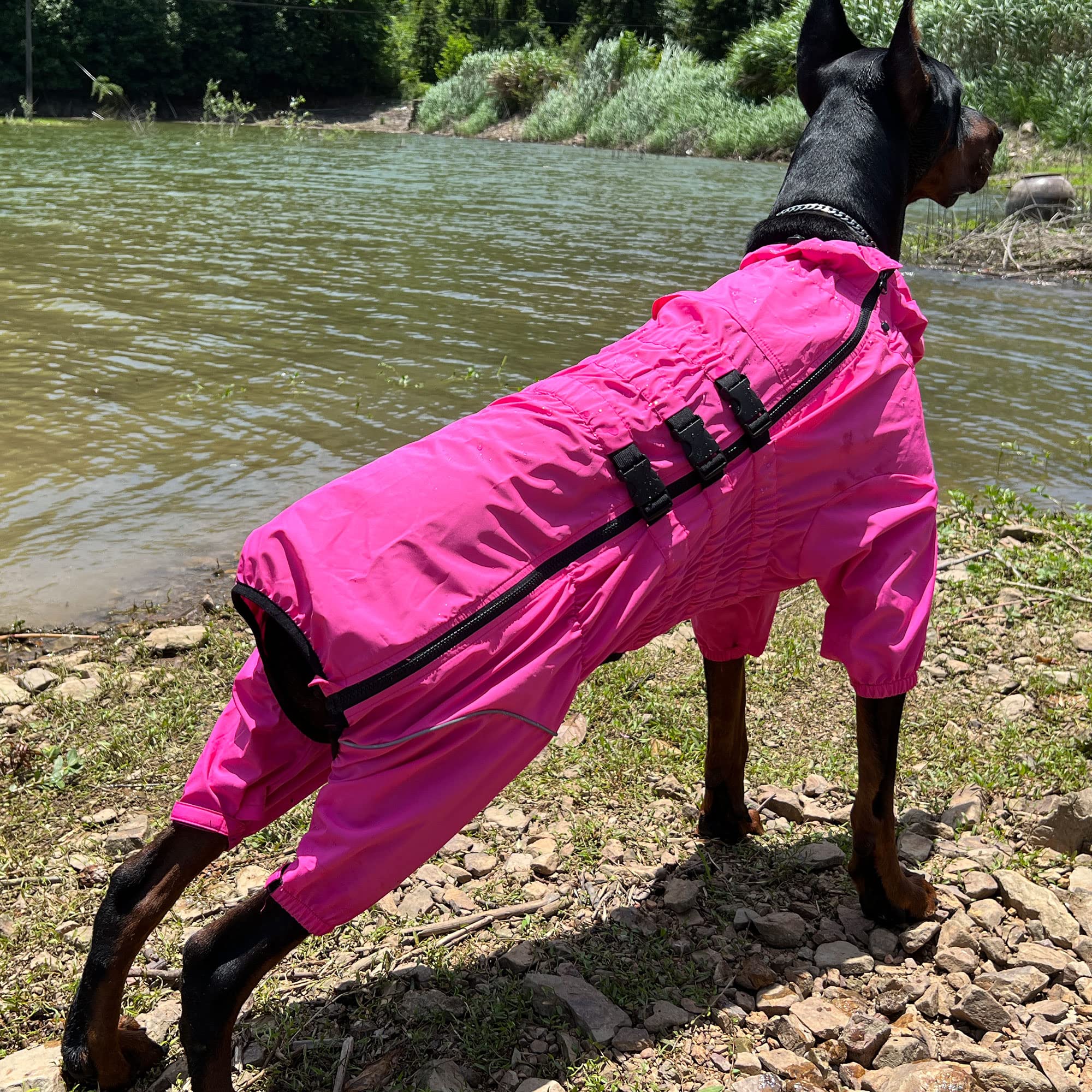 Chaqueta impermeable para perros, chaqueta impermeable ligera e impermeable reflectante de seguridad para perro, resistente al viento, chaleco para perros pequeños, medianos y grandes, rosered M