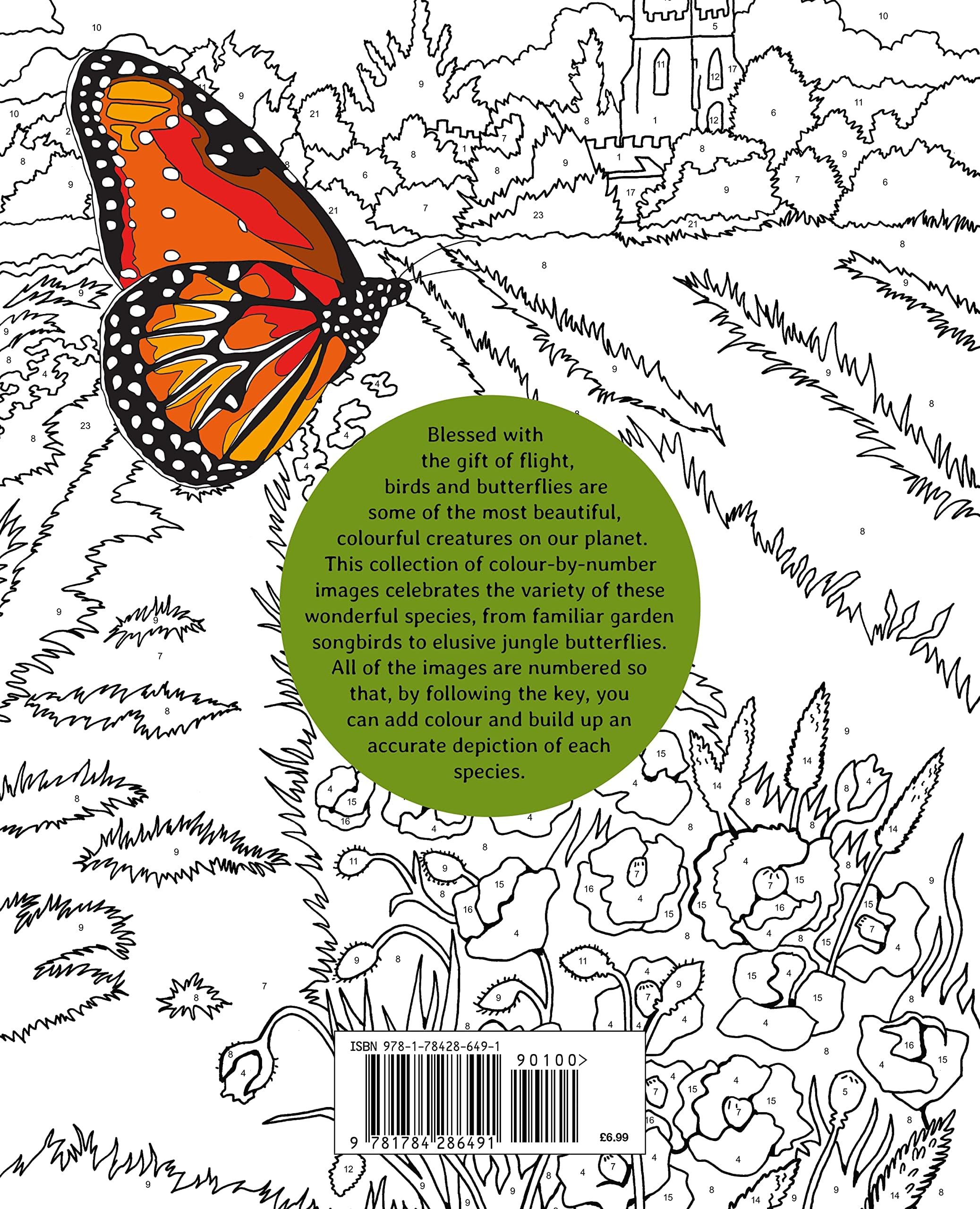 Birds & Butterflies Colour by Numbers (Arcturus Colour by Numbers Collection, 7)