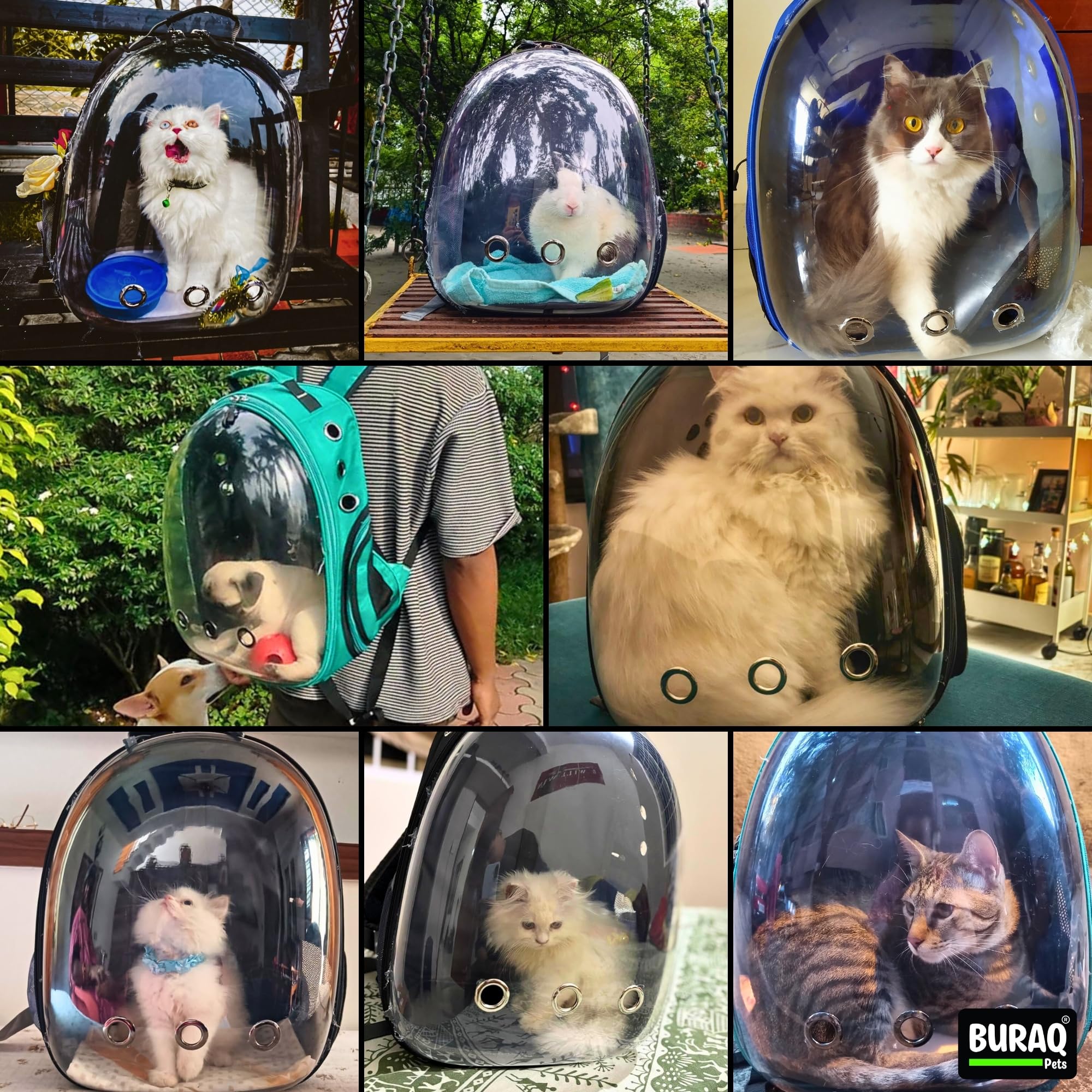 Buraq Pets Astronaut Pro Pet Carrier Backpack for Cats & Puppies 3