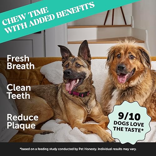 Miniatura 2 de Pet Honesty Dental Health Fresh Sticks  Palitos dentales de higiene bucal para perros  Masticables dentales para perros  Refresca el aliento del