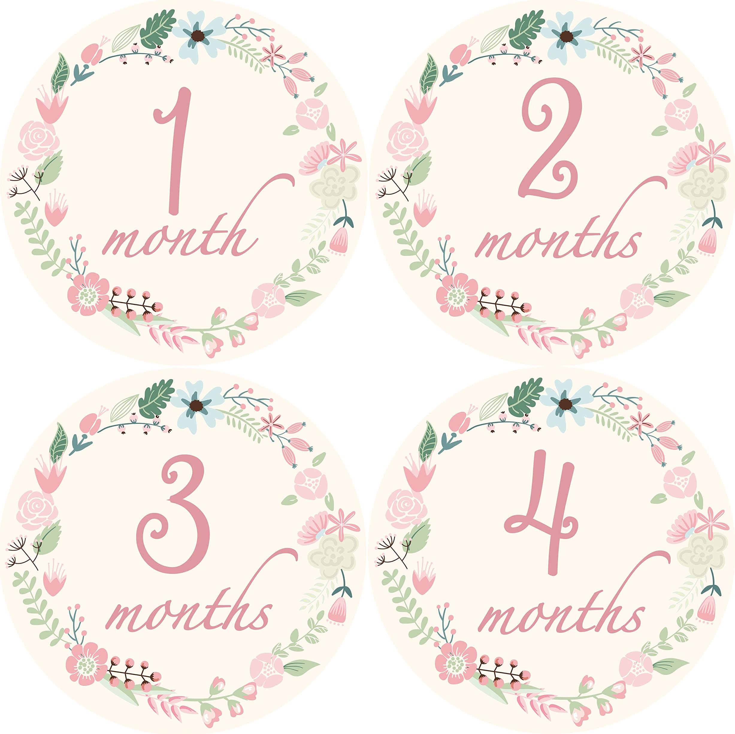 Monthly Baby Stickers