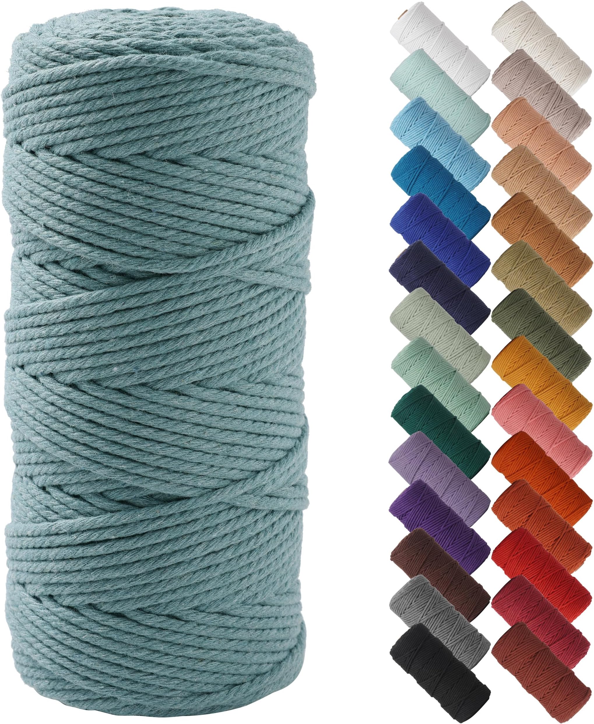 NOANTA Eucalyptus Macrame Cord 3mm x 109yards, Colored Macrame Rope Cotton Rope Macrame Yarn, Colorful Cotton Craft Cord for Wall Hanging, Plant Hangers, Crafts, Knitting