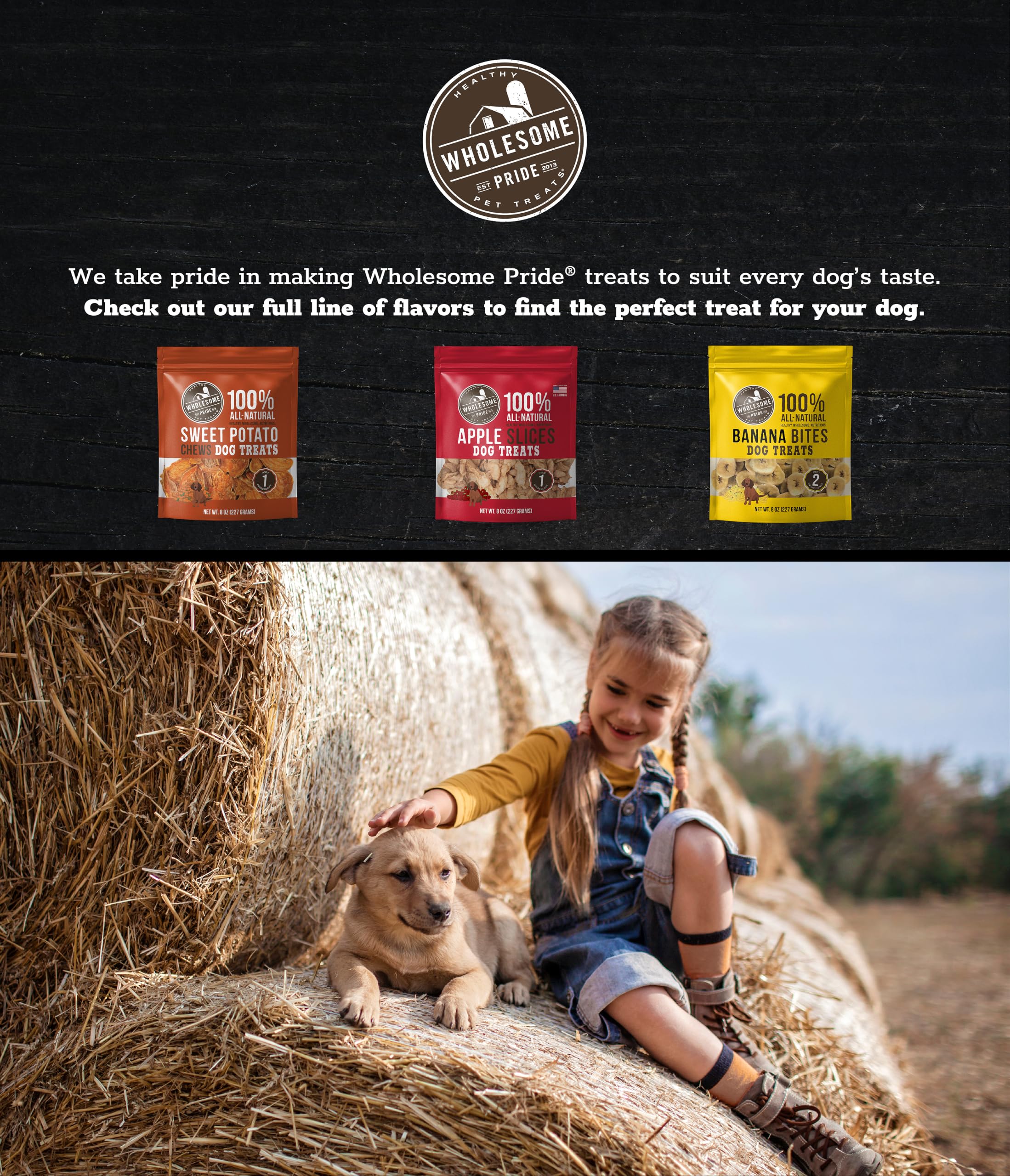 Wholesome Pride Sweet Potato Chews Hunde-Leckerlis, natürliche Einzelzutaten, 907 ml