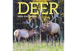 TF PUBLISHING 2024 Deer Wall Calendar