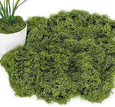 ROLLWAY 150 g de mousse artificielle pour le bricolage, la décoration et le bricolage (vert foncé)