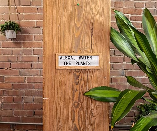 Miniatura 124 de Letrero de fieltro negro y letras blancas de 10 x 10 pulgadas Este letrero personalizable incluye 300 letras de plástico y marco de roble., Negro