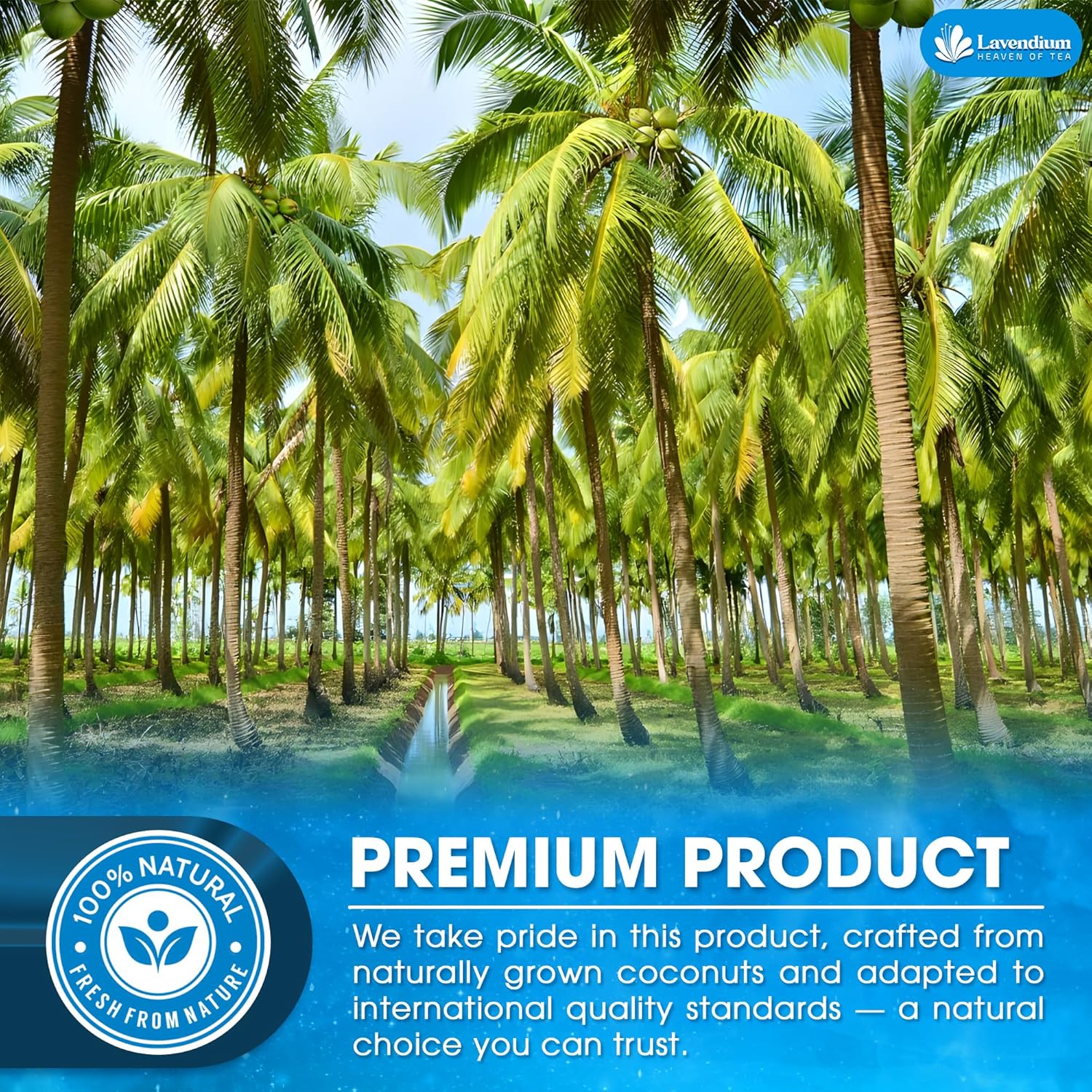 , Coconut Milk Powder, Natural, Unsweetened, for