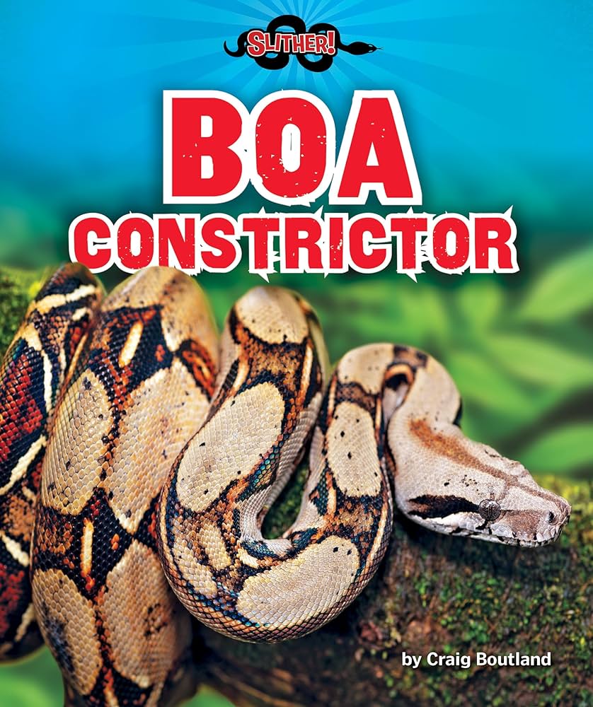 洋書　The Complete Boa Constrictor ボア 洋書 The Complete Boa Constrictor ボア