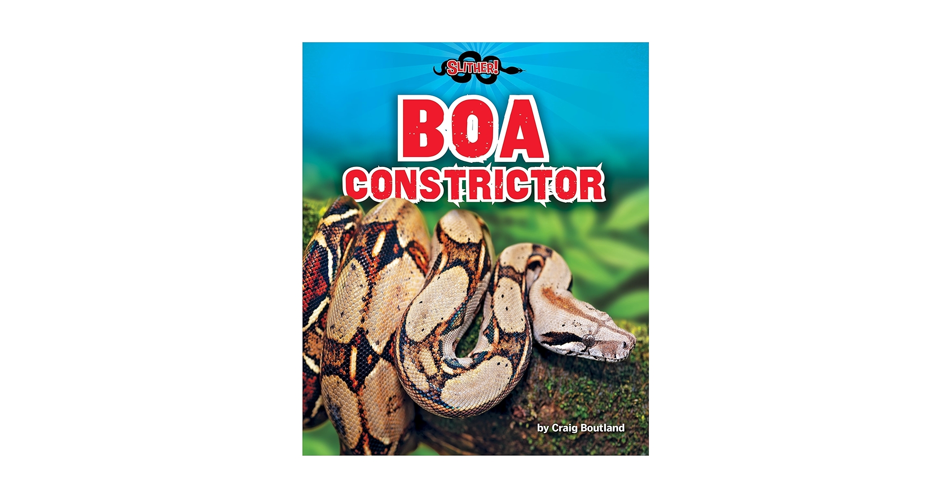 洋書　The Complete Boa Constrictor ボア The More Complete Boa Constrictor: Vincent Russo