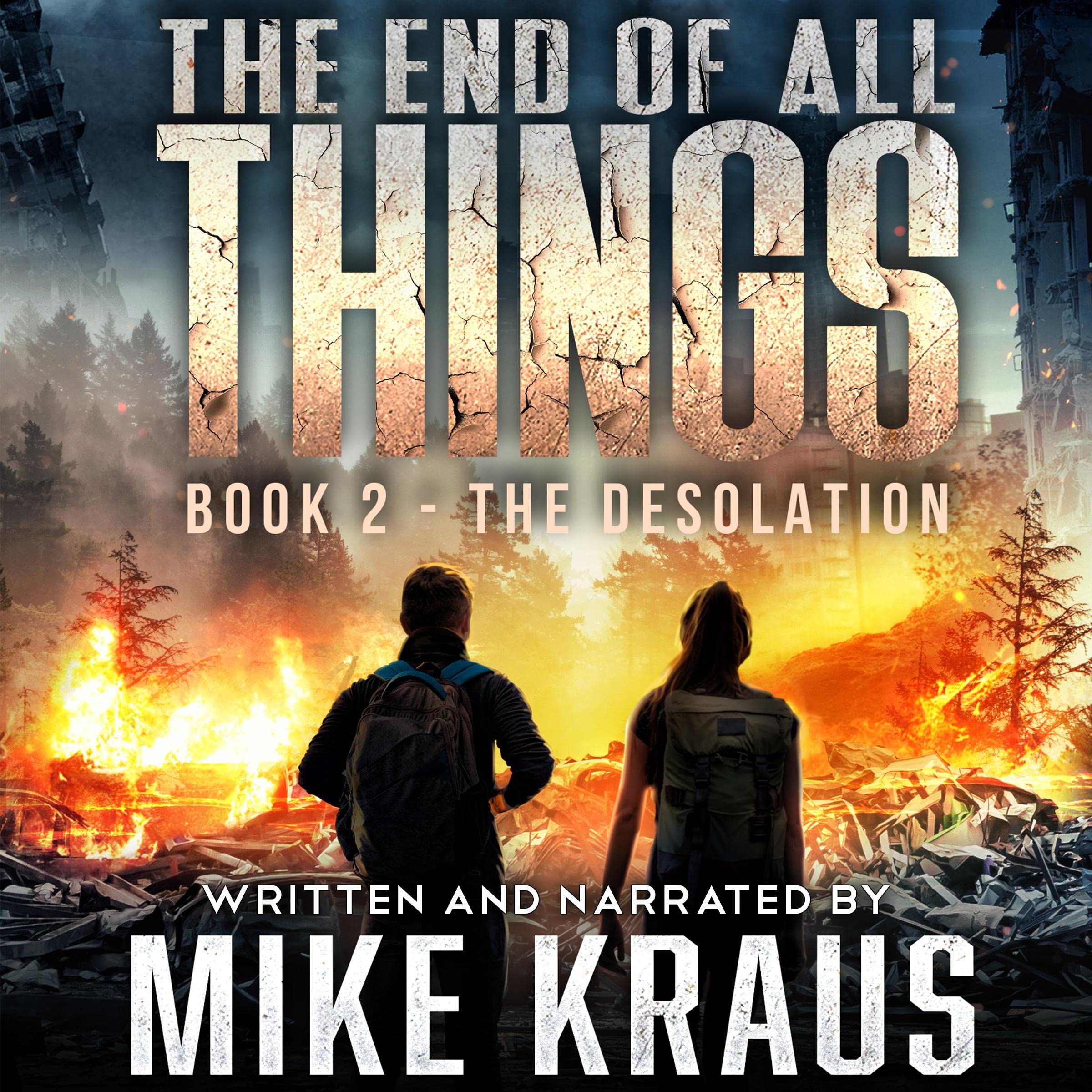 Cover art for The Desolation