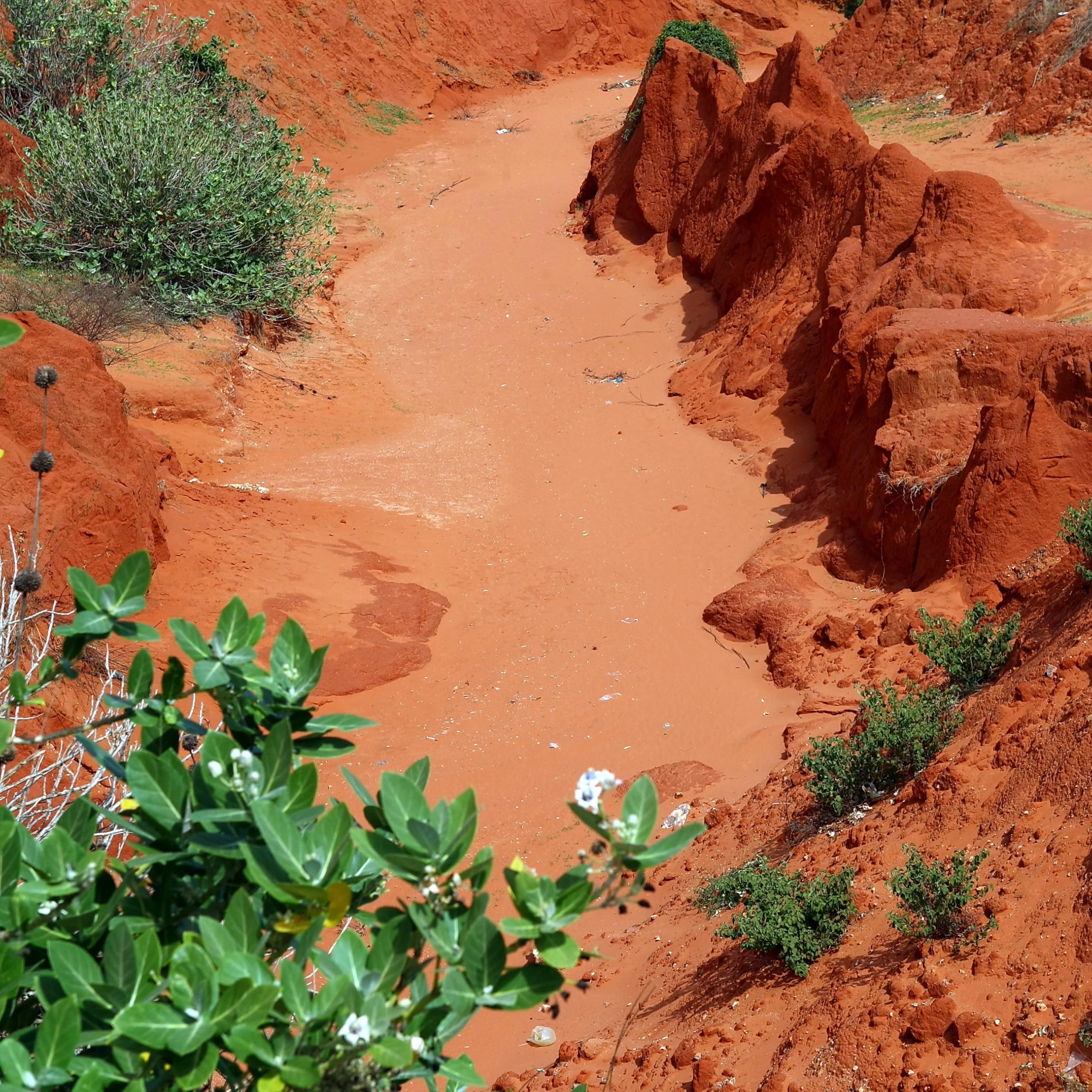 JBL, Base da Pavimento per terrari del Deserto, Sabbia e Terra