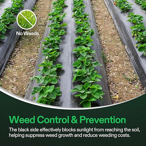 Miniatura 4 de VIVOSUN rollo de película blanco y negro