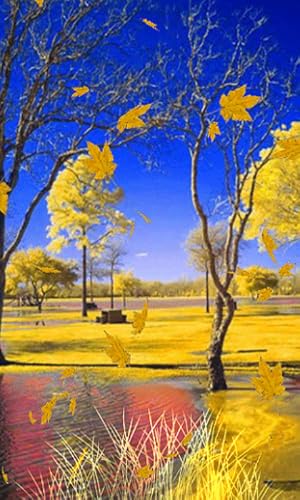 Kool Autumn Animation – vue 2