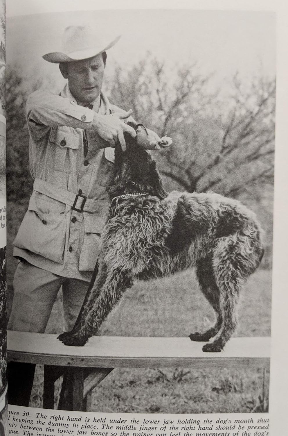 The training and care of the versatile hunting dog