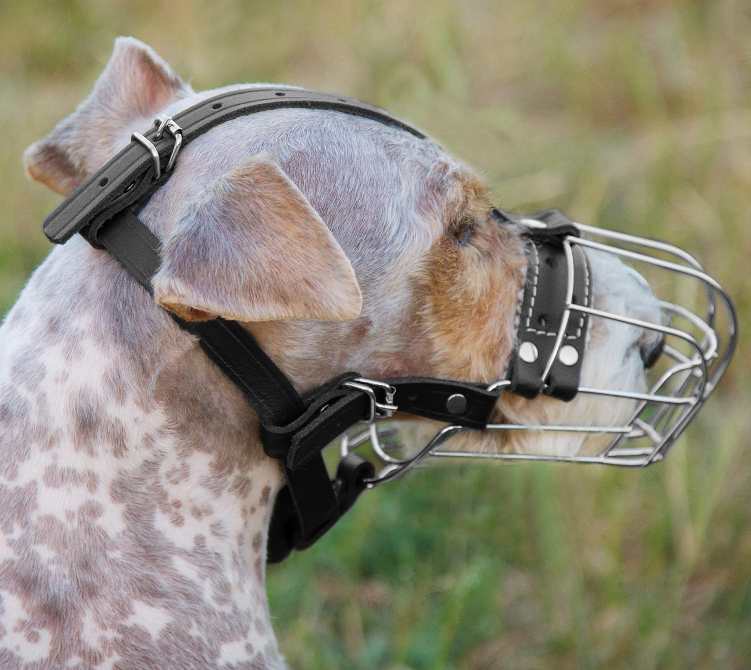 Bozales de Metal Cromado para Perros, Correas de Cuero Ajustables (№3) La Circunferencia es de 19,8-23,8 cm, la Longitud es de 8,3-9 cm