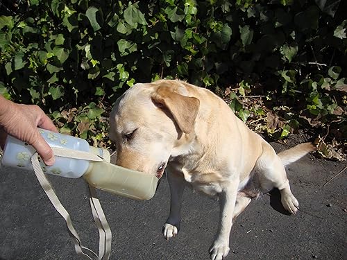 Miniatura 6 de Lixit Cuenco plegable de mano para perros (paquete de 1, granito)