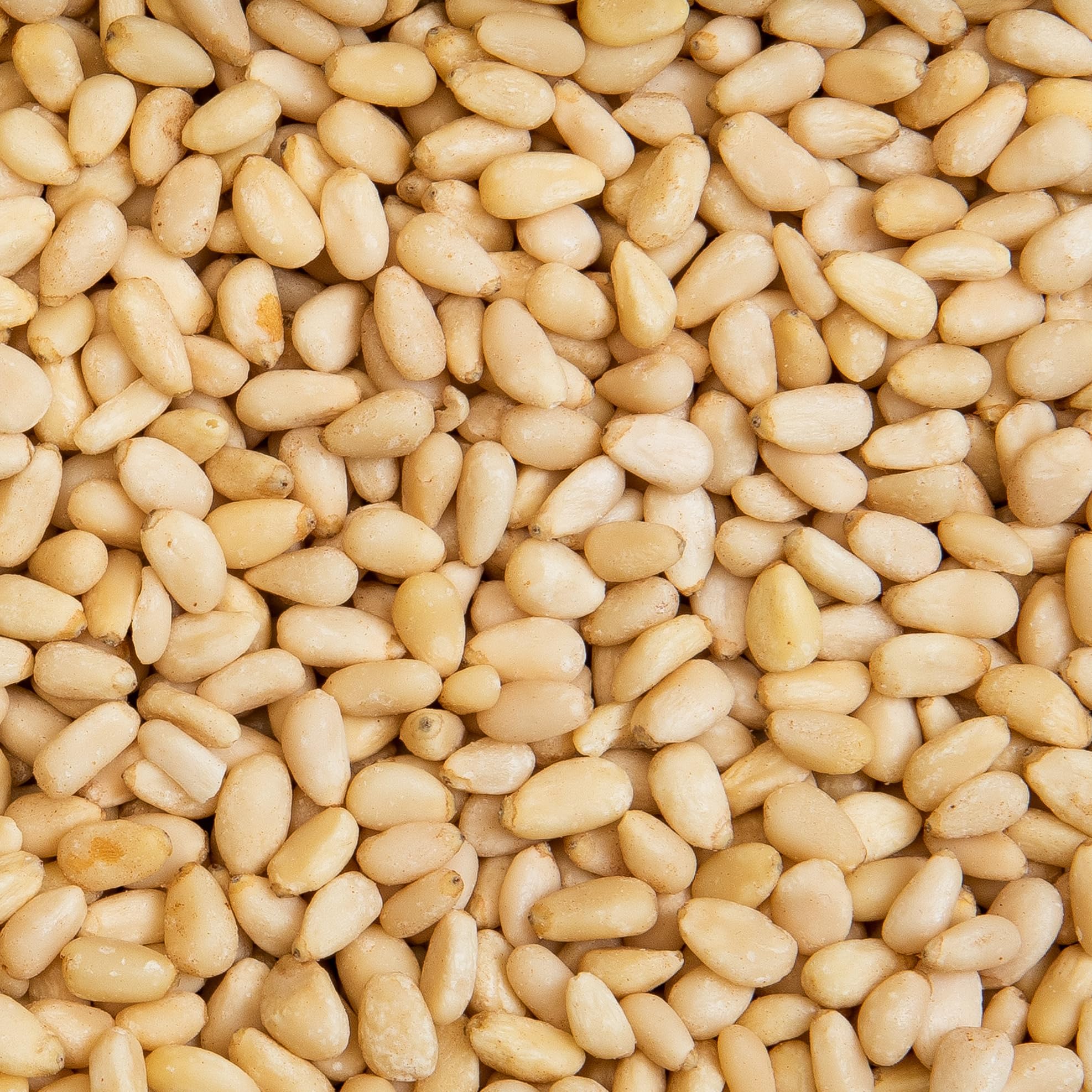 Vitalesia Pinienkerne naturbelassen 250g | Premium Qualität | ungeröstet & ungesalzen | geschält | ohne Zusätze | roh | mild-nussig | glutenfrei | vegan