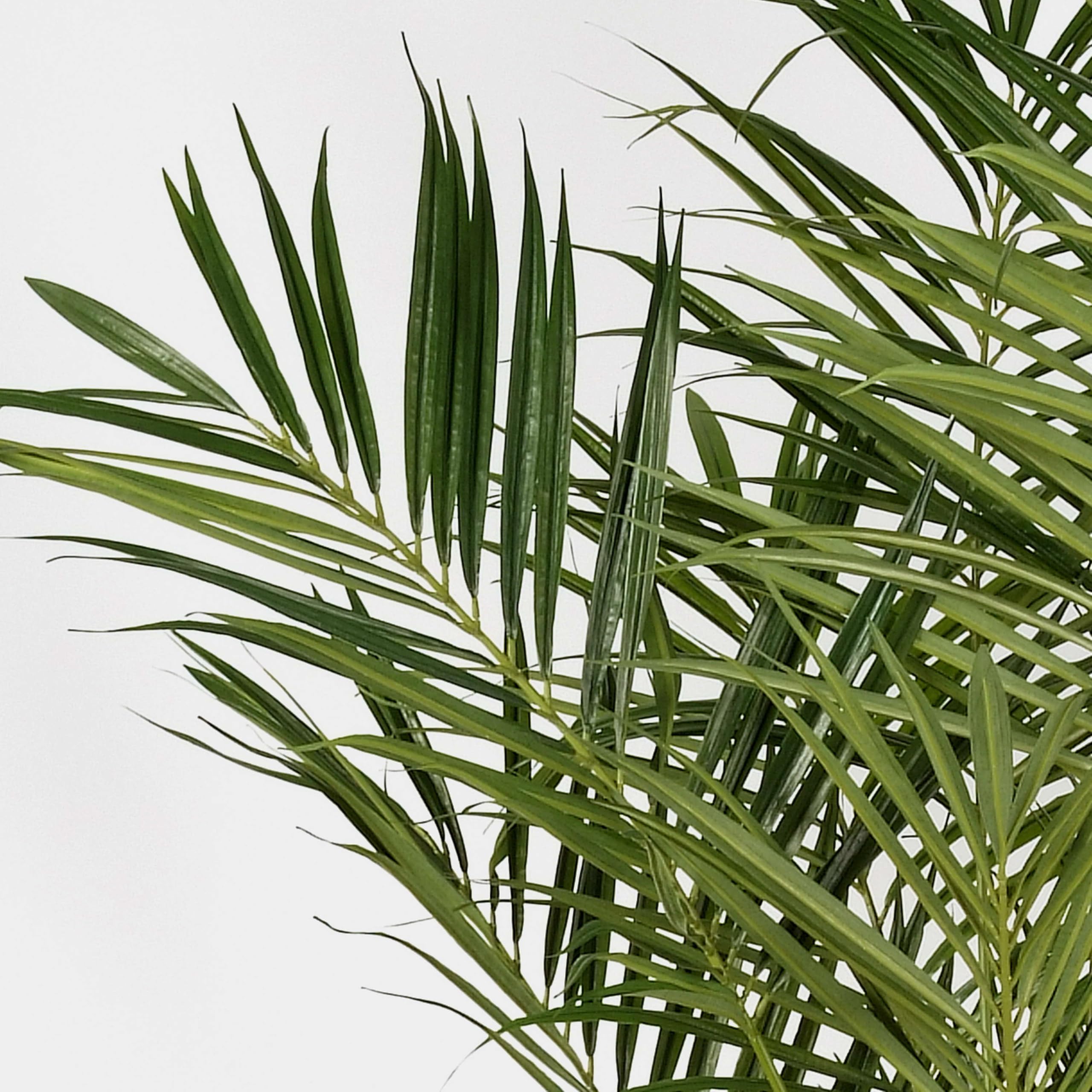 Amazon.de: artplants.de Knstliche Kentia Palme Natural, 192 Bltter, 200cm  - hochwertige Dekopalme - Kunstpalme
